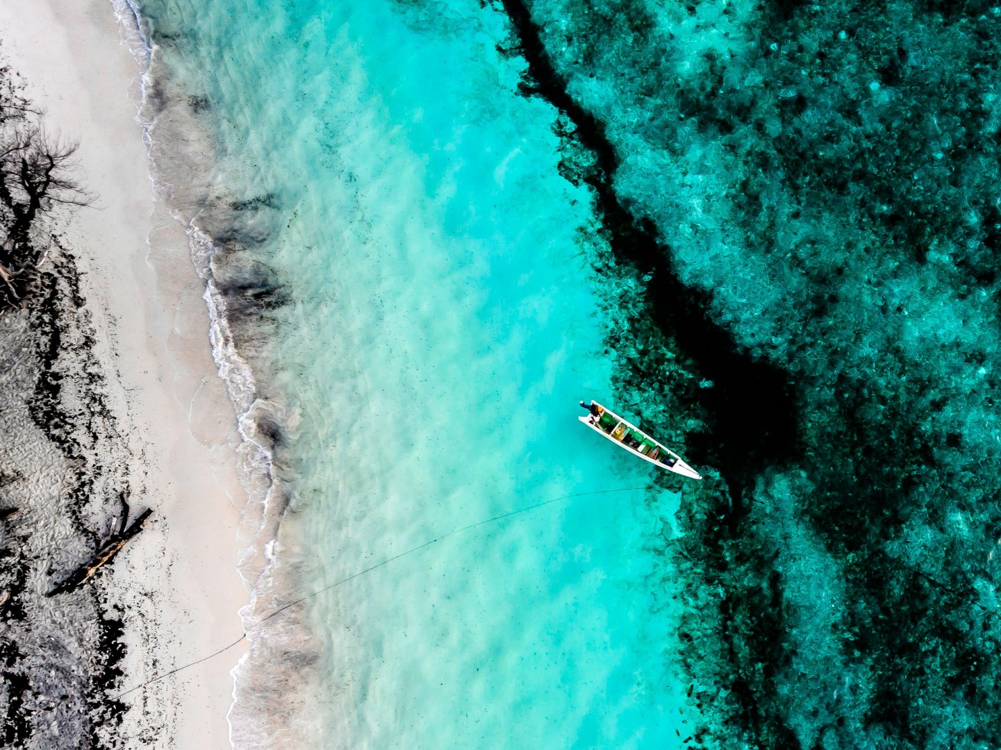 Atauro Island