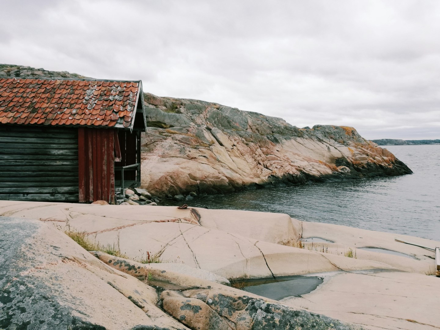  Photo Credit: Photo by Anna Zdanowicz on Unsplash