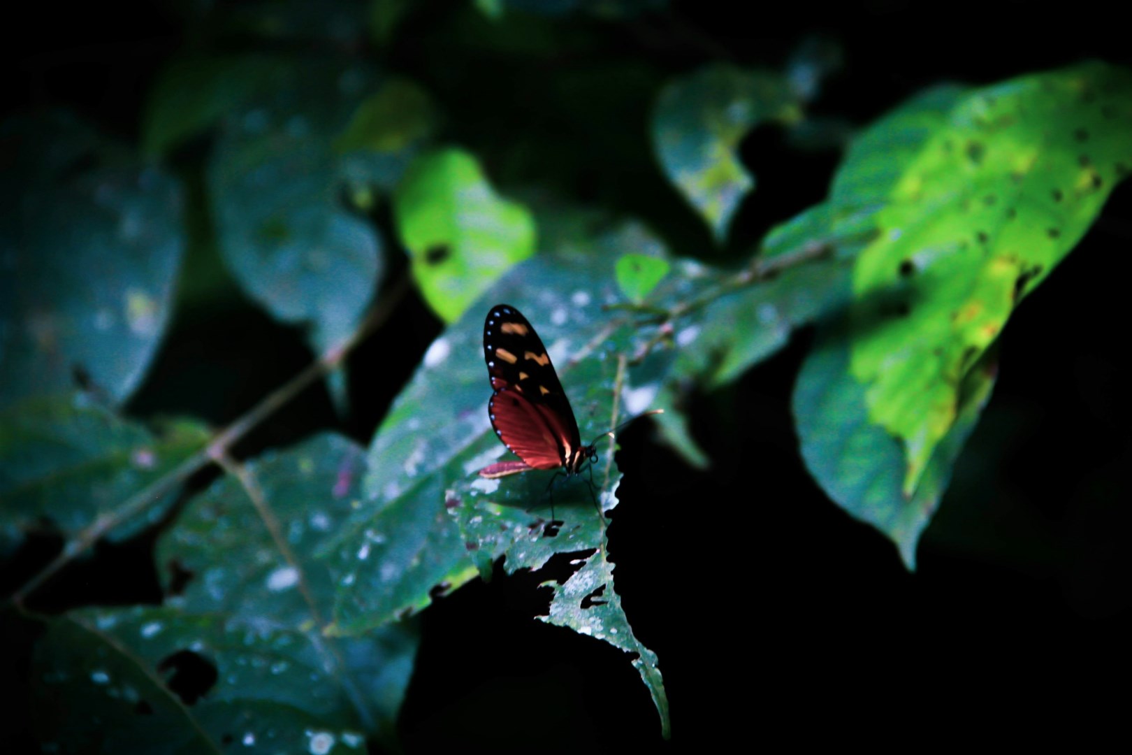  Photo Credit: Photo by Ezgi Kimball on Unsplash