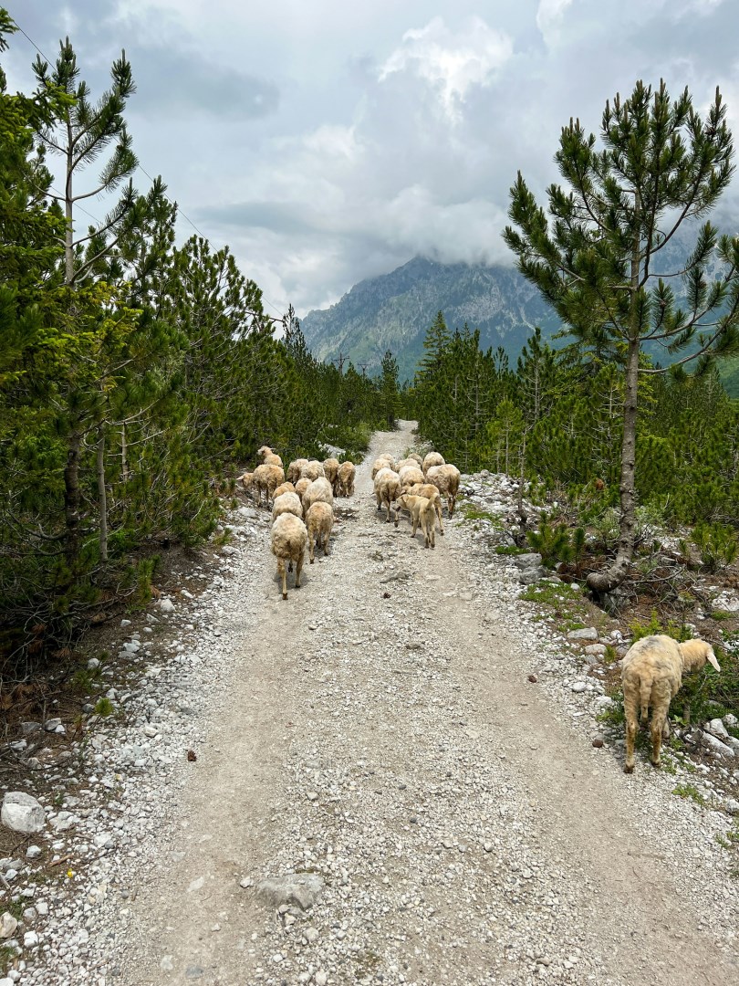  Photo Credit: Photo by Marco ten Donkelaar on Unsplash