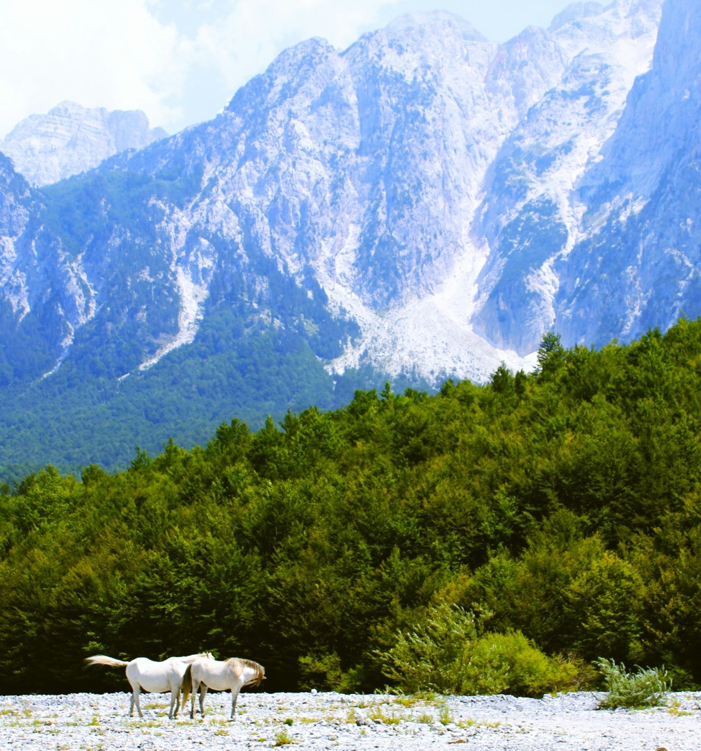 Valbonë
