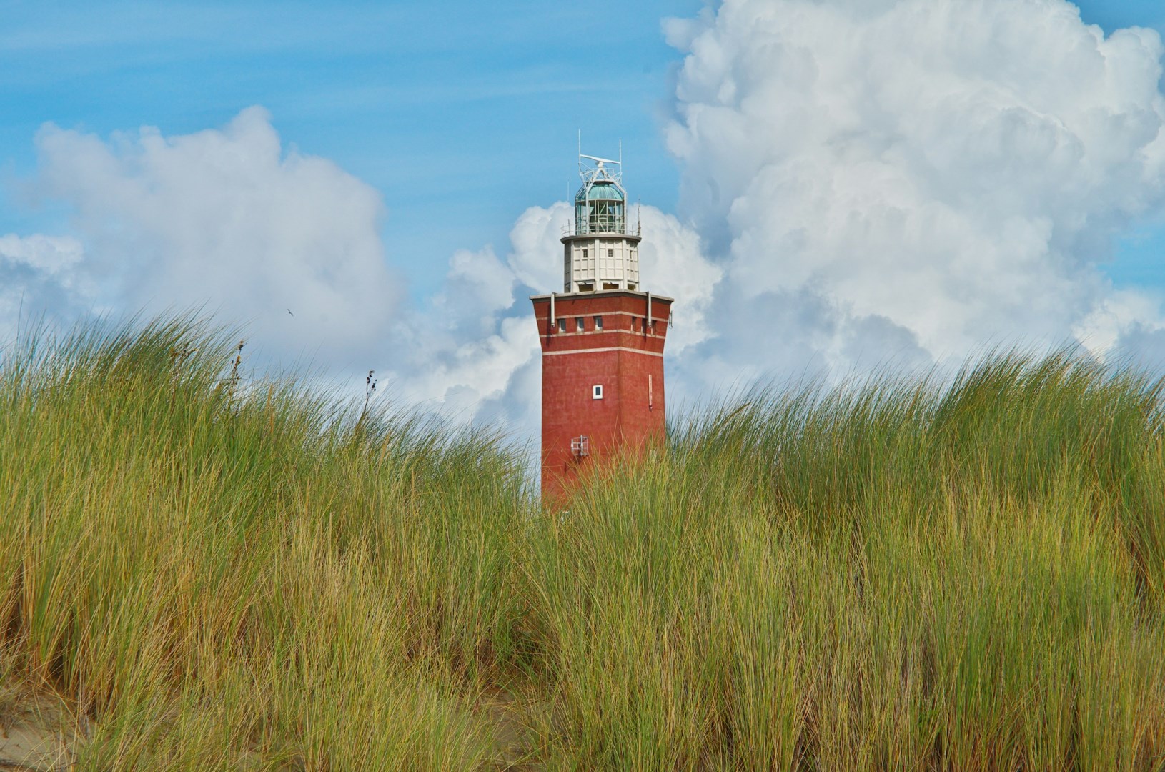  Photo Credit: Photo by Immo Wegmann on Unsplash