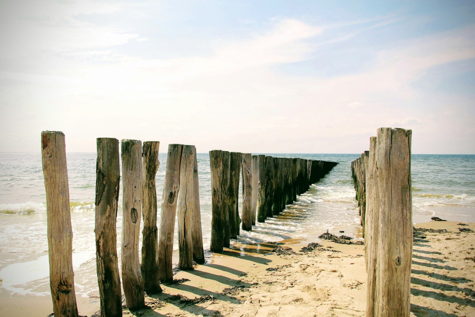  Photo Credit: Photo by Dyaa Saleh on Unsplash