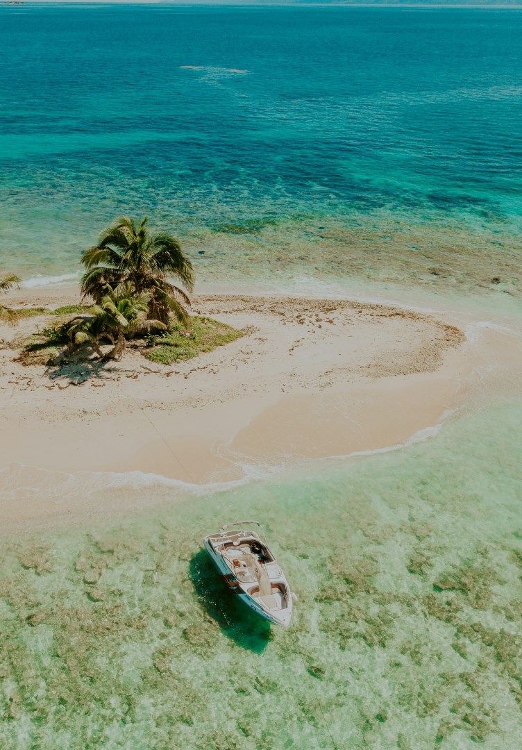  Photo Credit: Photo by Angello Pro on Unsplash