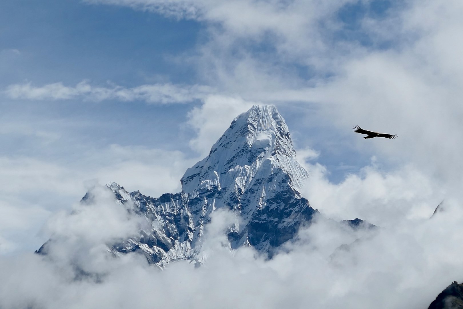  Photo Credit: Photo by Ben Lowe on Unsplash