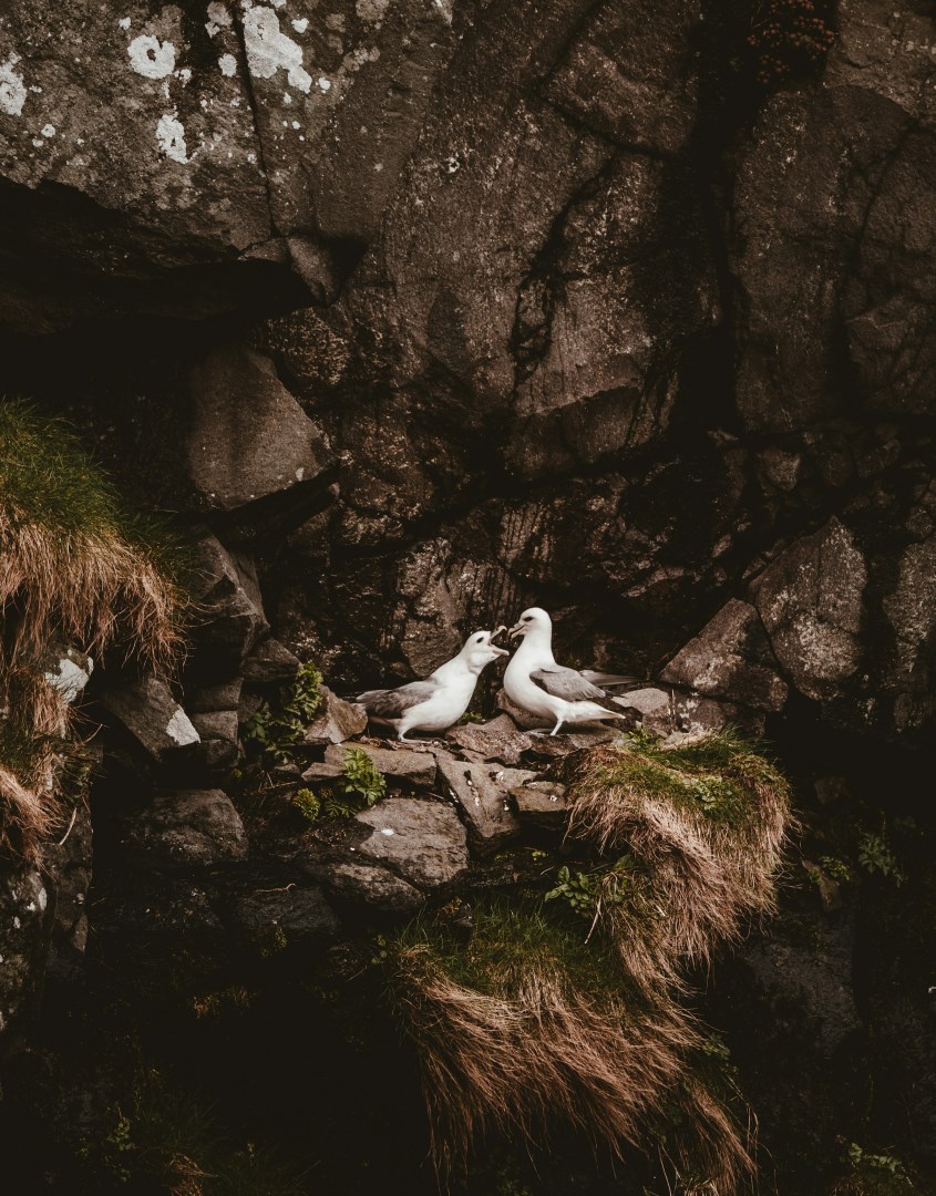  Photo Credit: Photo by Annie Spratt on Unsplash