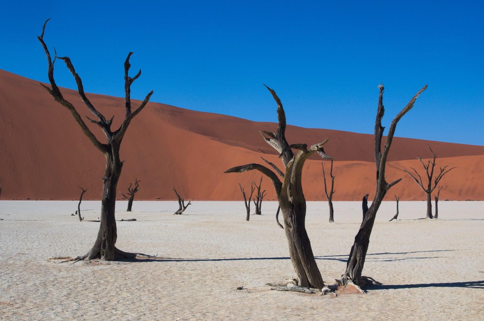 Deadvlei