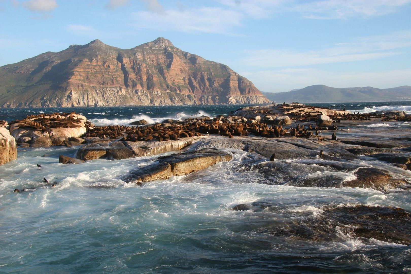 Duiker Island
