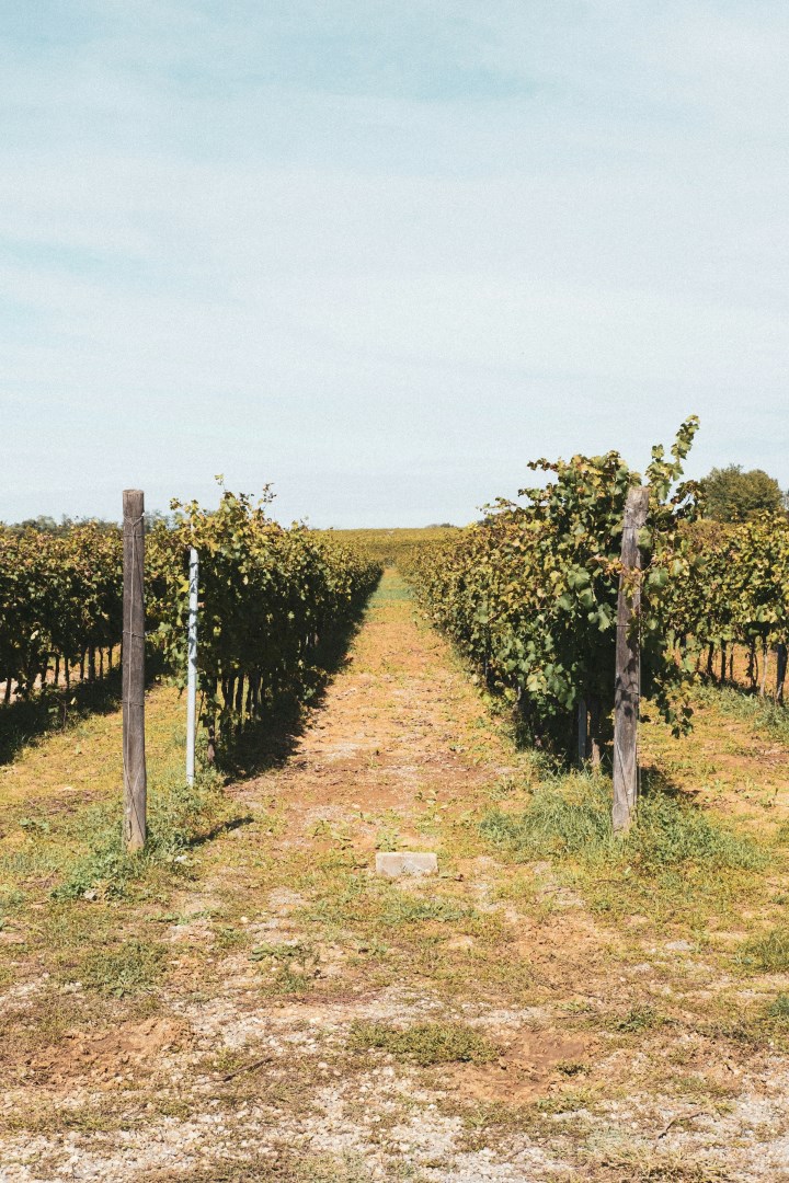  Photo Credit: Photo by Jonah Townsley on Unsplash