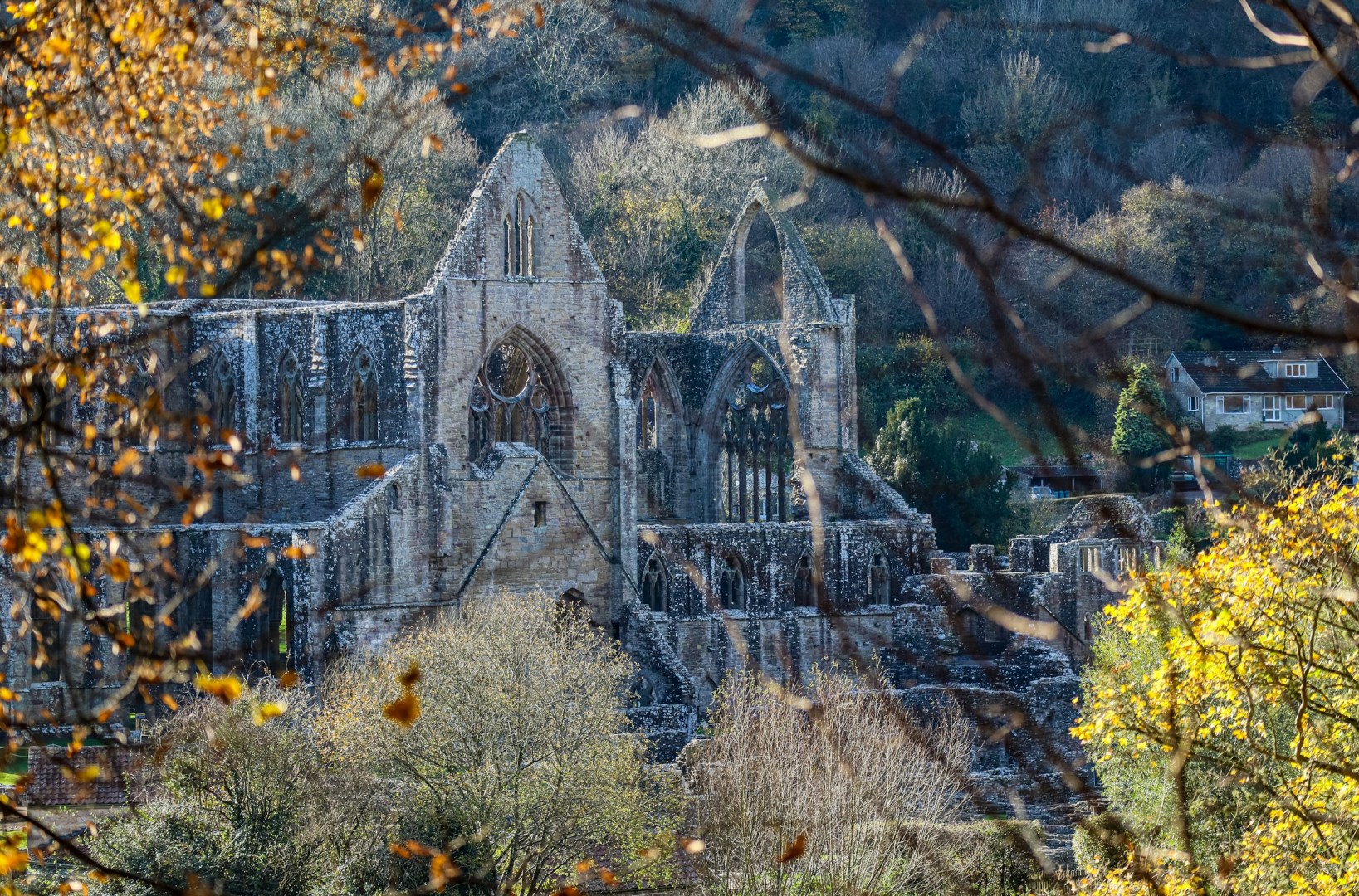 Tintern