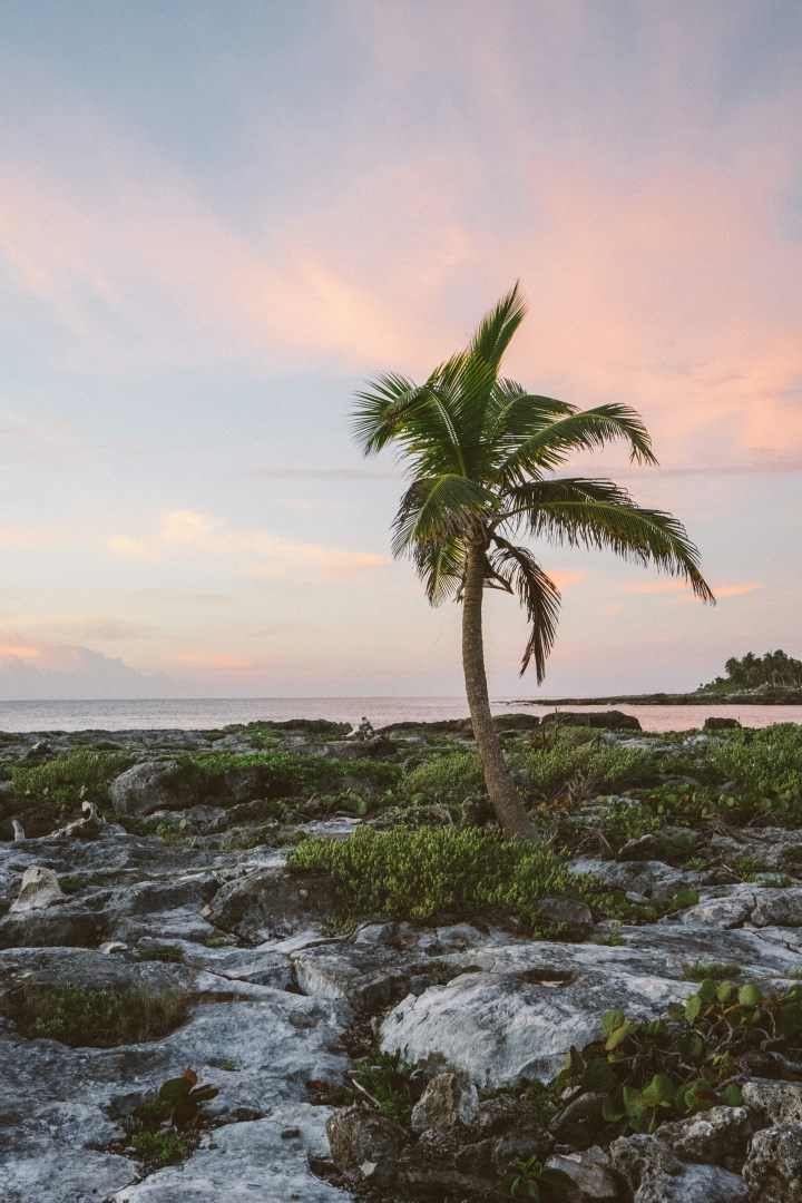  Photo Credit: Photo by Scott Webb on Unsplash