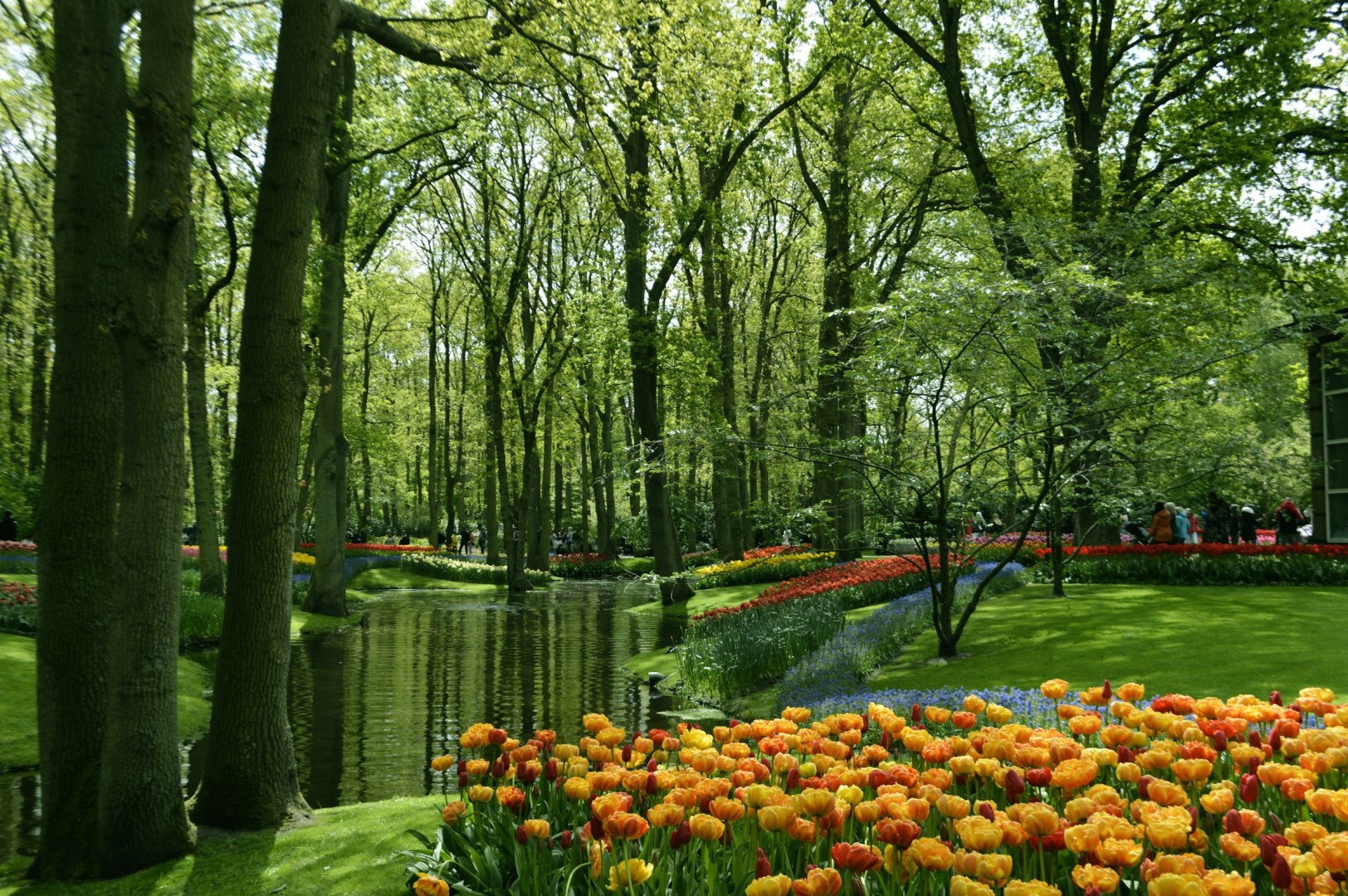 Keukenhof - Photo Credit: Photo by Farah Almazouni on Unsplash