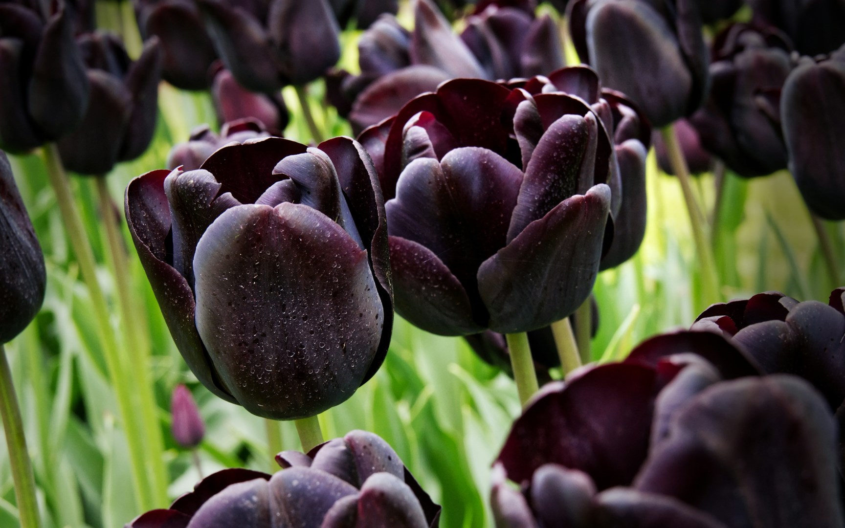  Photo Credit: Photo by Job Vermeulen on Unsplash