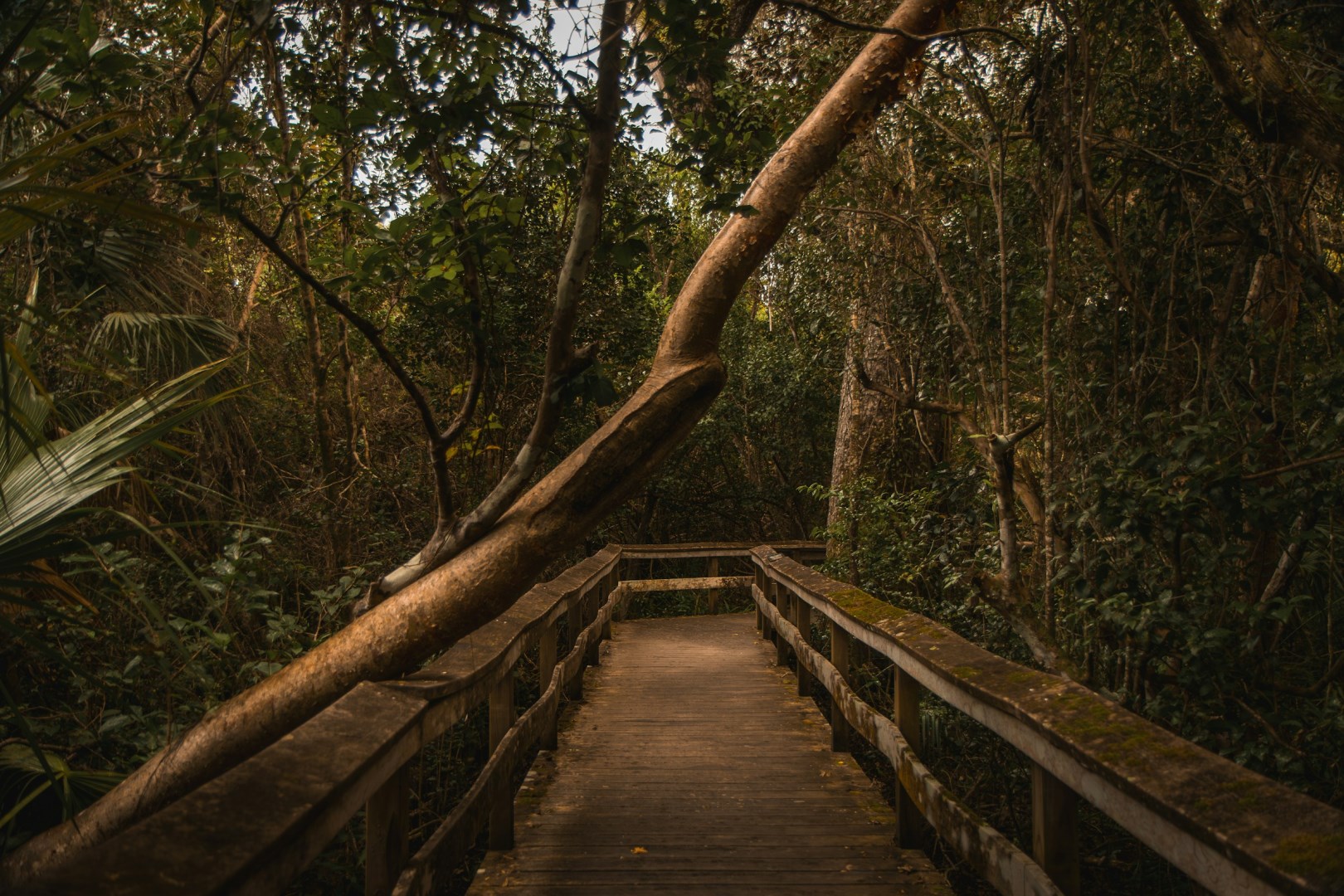  Photo Credit: Photo by Brice Cooper on Unsplash