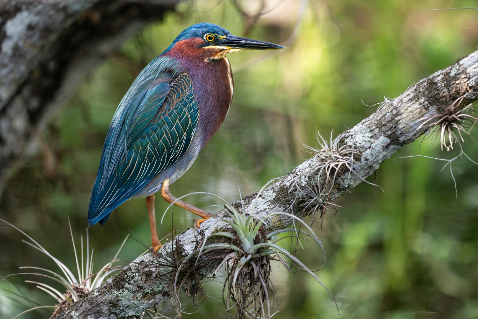  Photo Credit: Photo by Joseph Corl on Unsplash