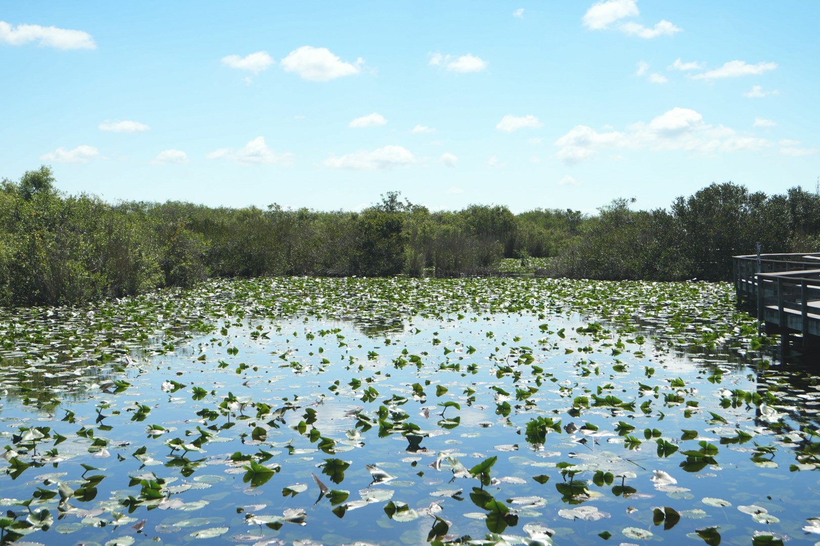 Everglades National Park
