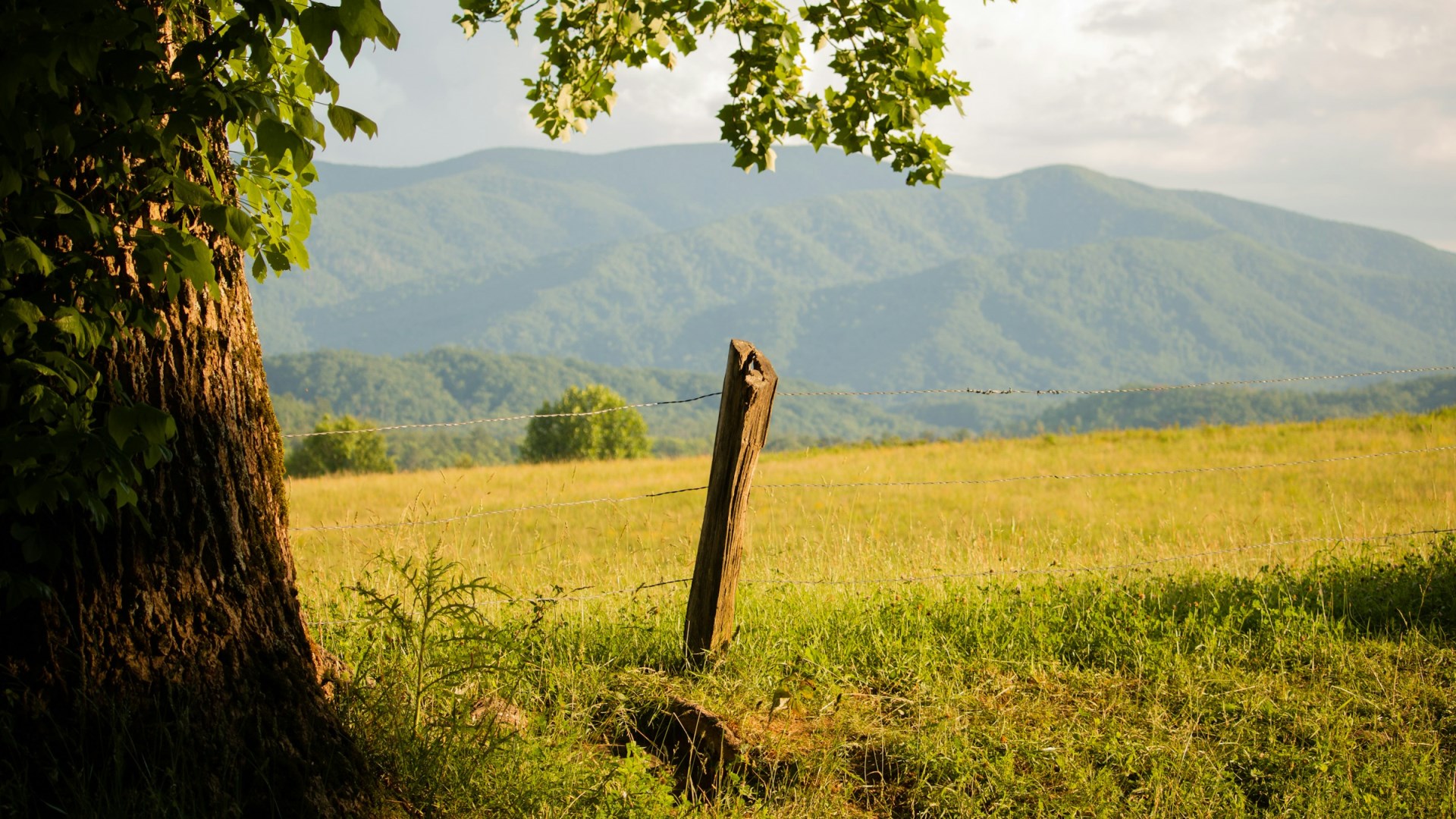 Cades Cove - Photo Credit: Photo by Michael Chambers on Unsplash