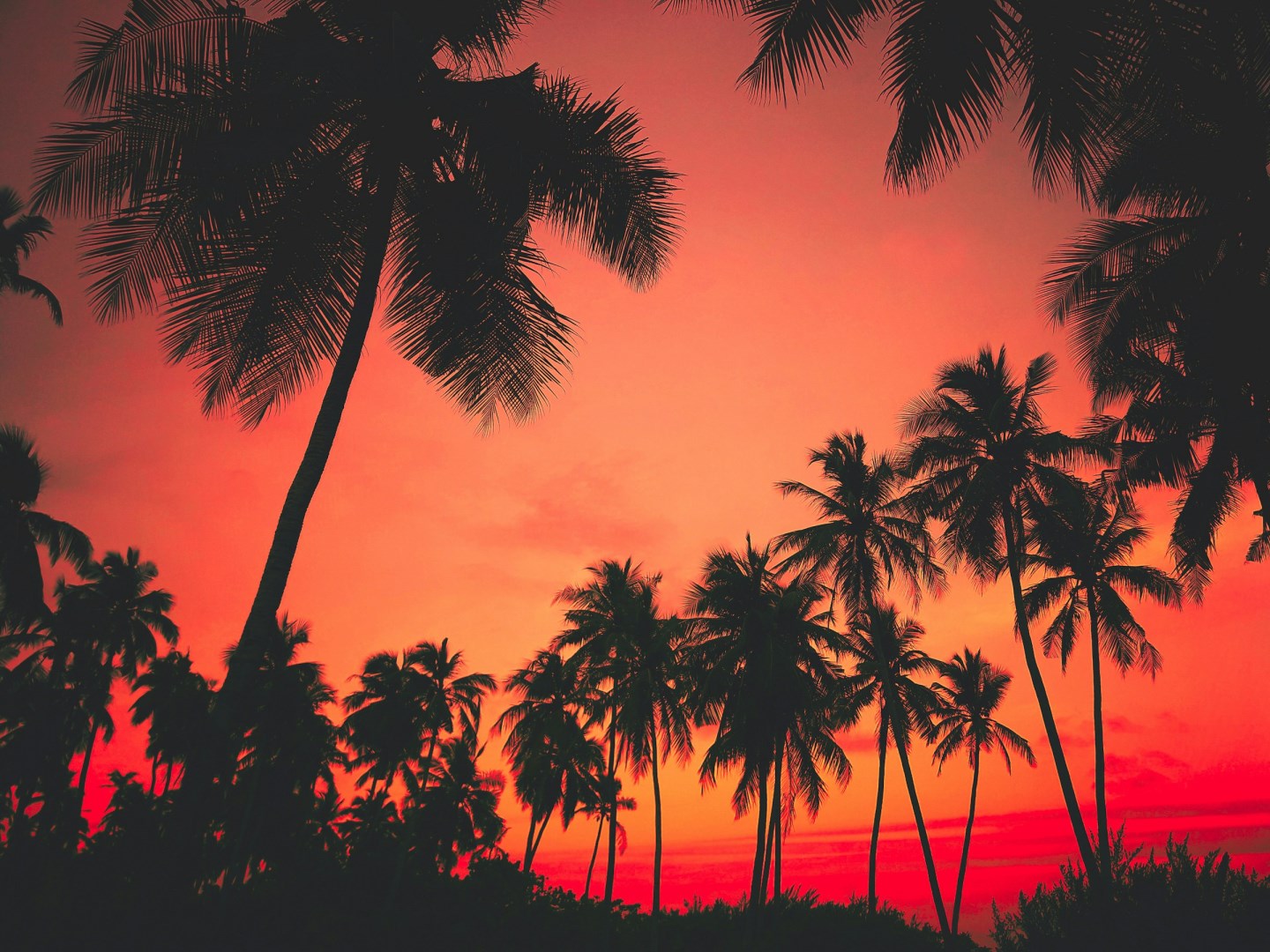  Photo Credit: Photo by Hussan Amir on Unsplash