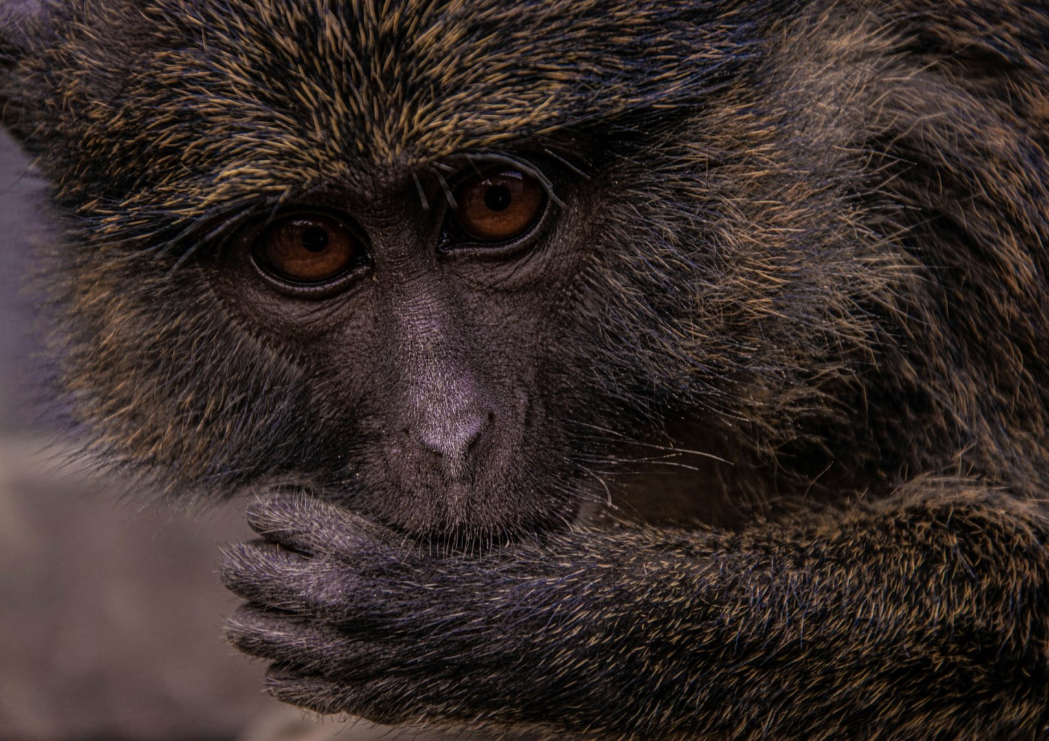  Photo Credit: Photo by Johnnathan Tshibangu on Unsplash