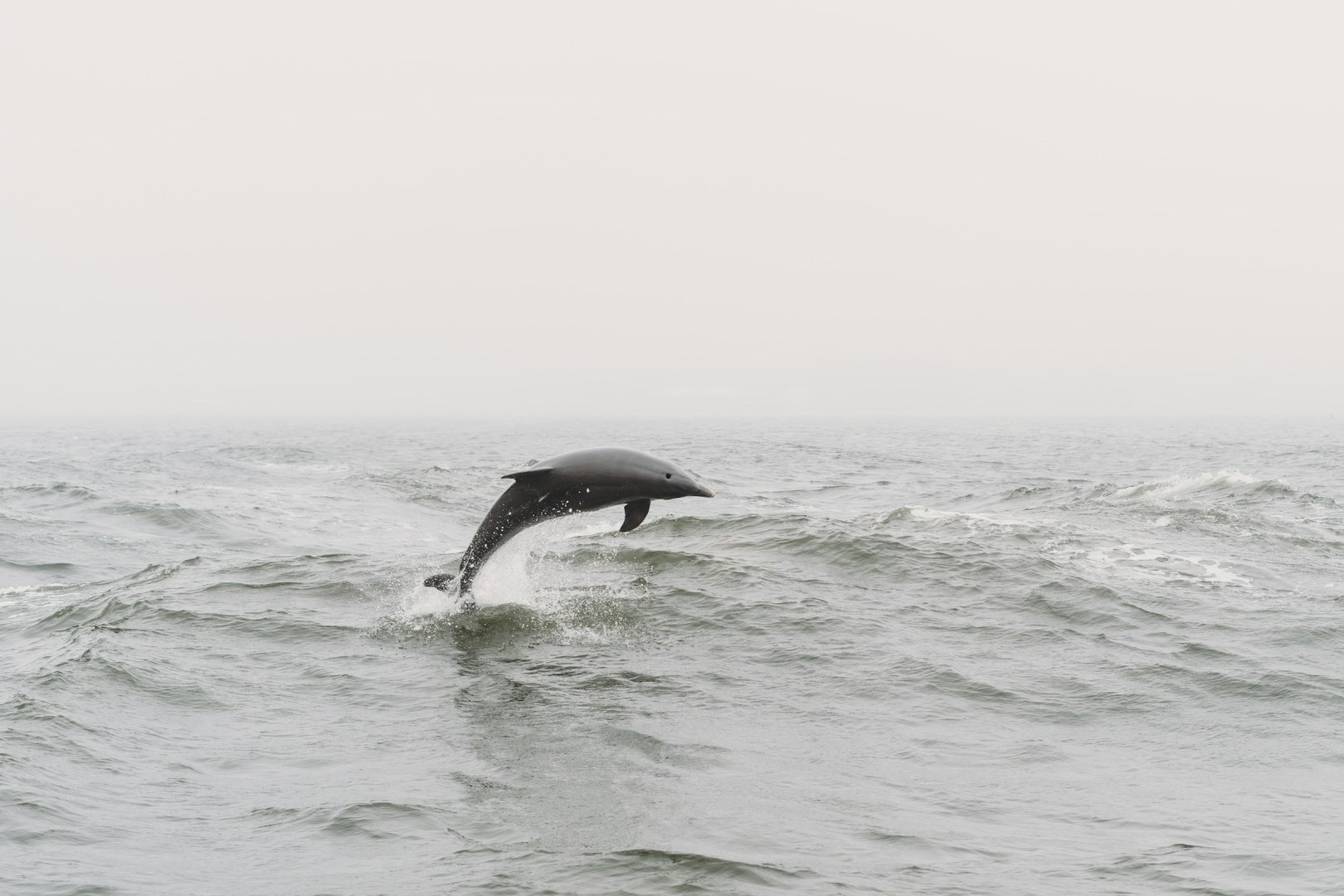  Photo Credit: Photo by Steven Van Elk on Unsplash