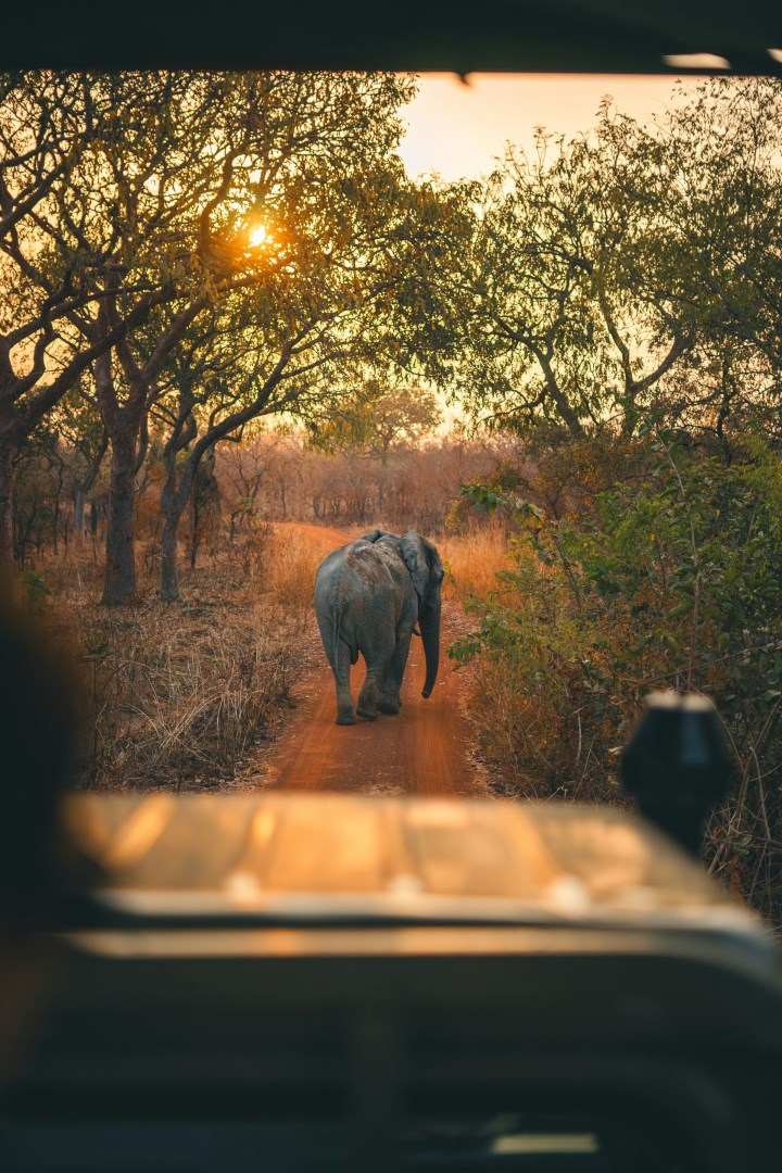  Photo Credit: Photo by Julian Morenz on Unsplash