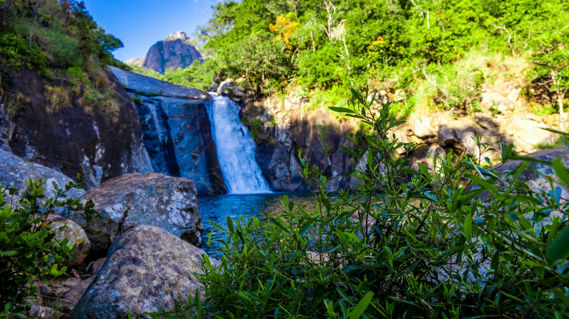  Photo Credit: Photo by Omar Hakeem on Unsplash
