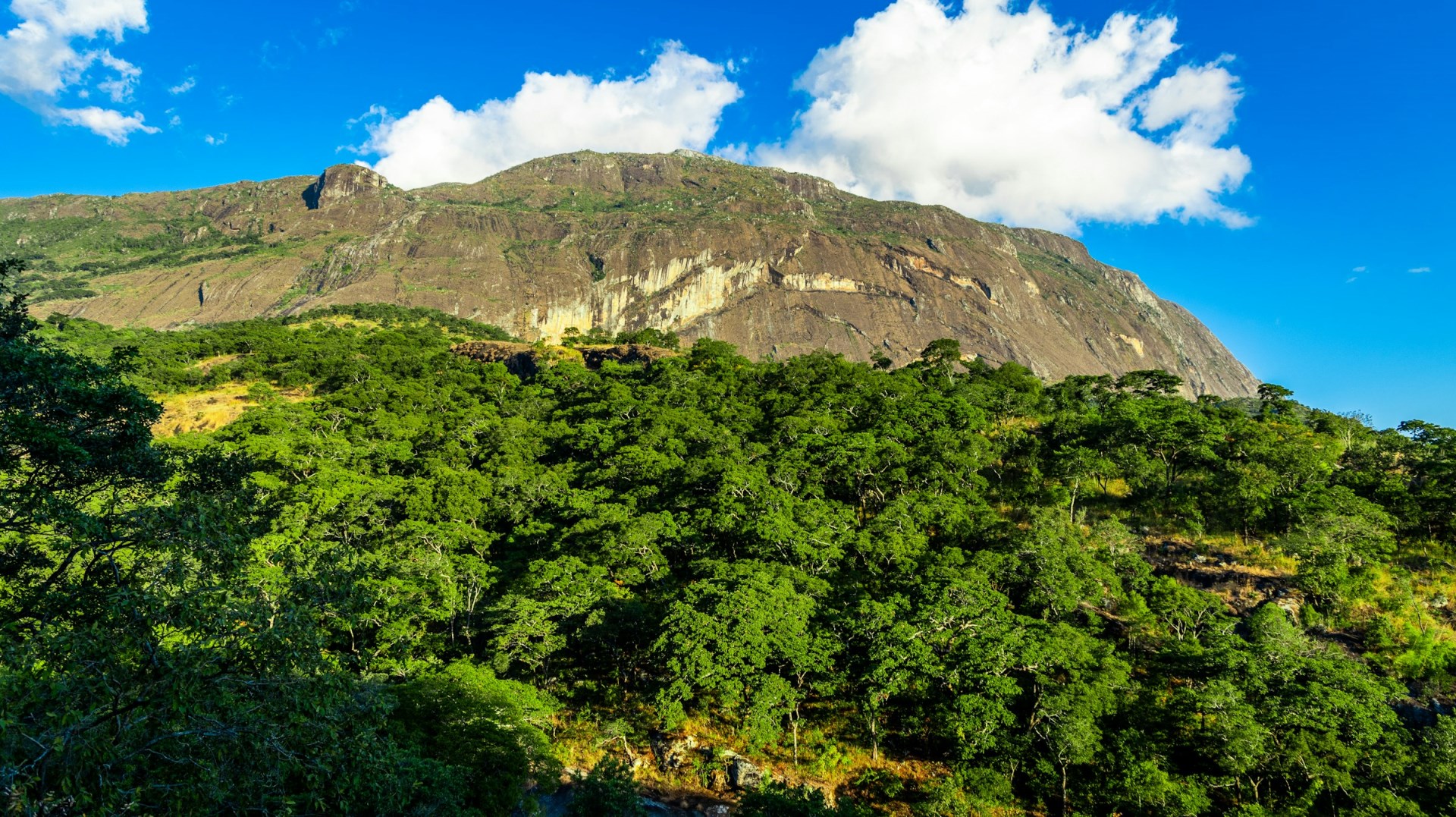  Photo Credit: Photo by Omar Hakeem on Unsplash