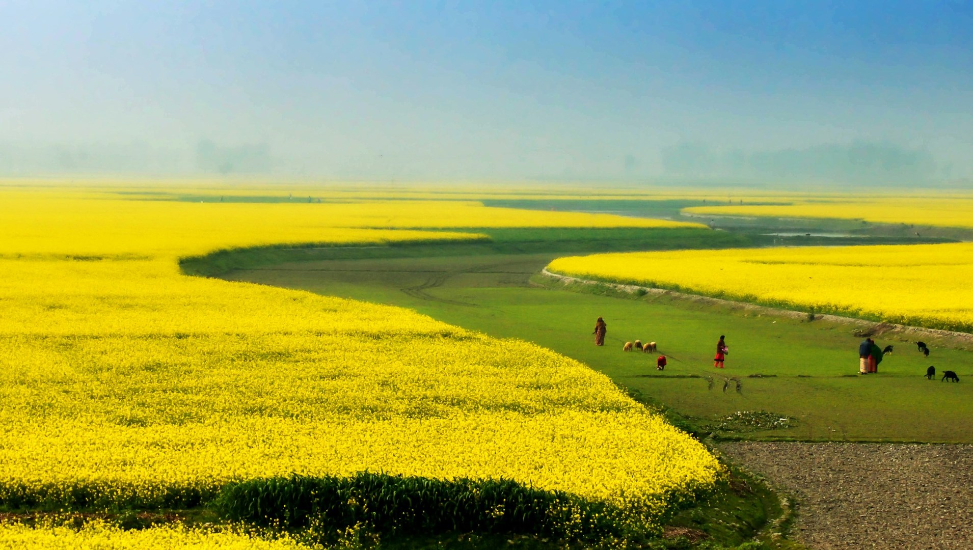 Sirajganj