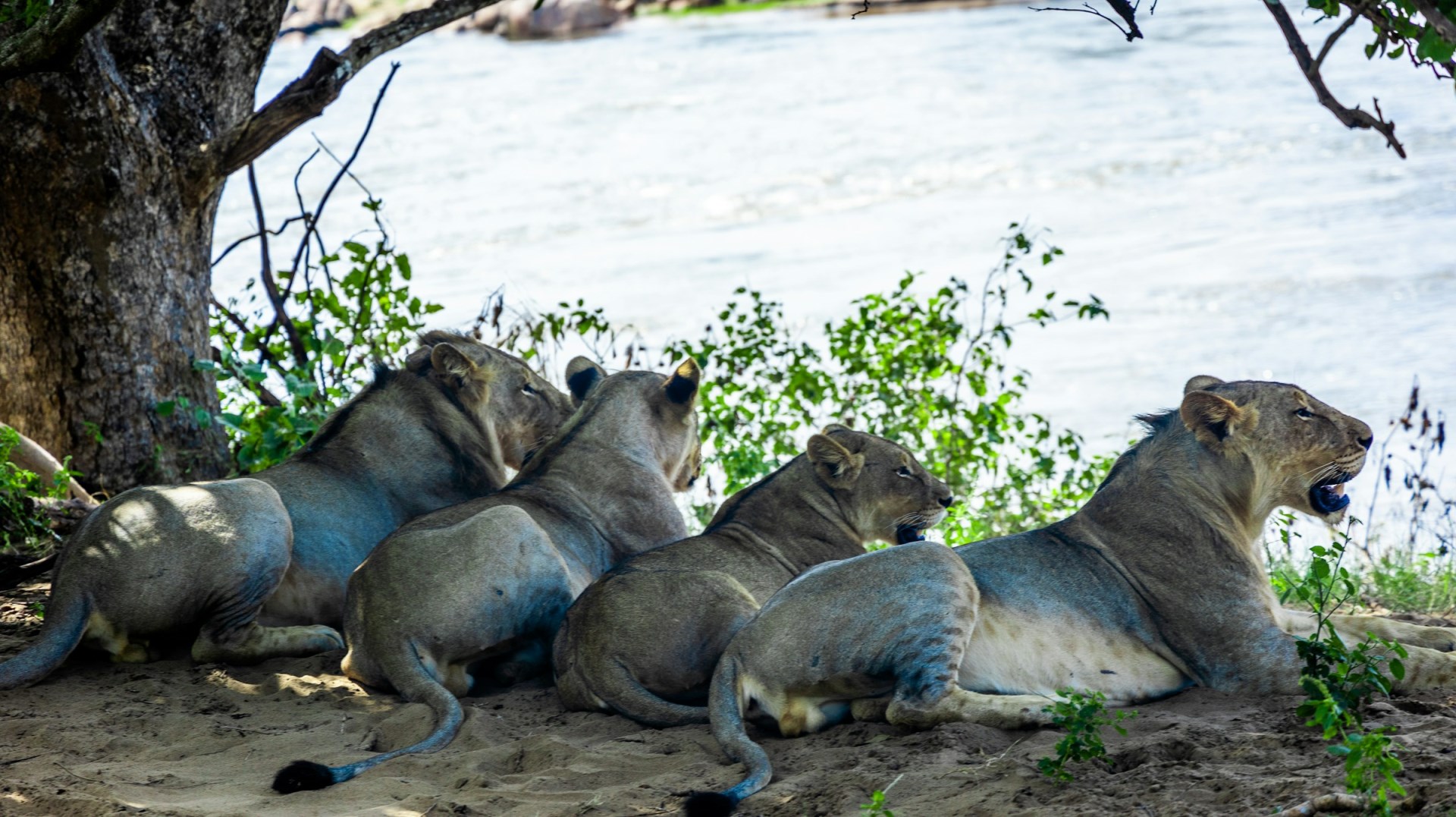 Majete Wildlife Reserve