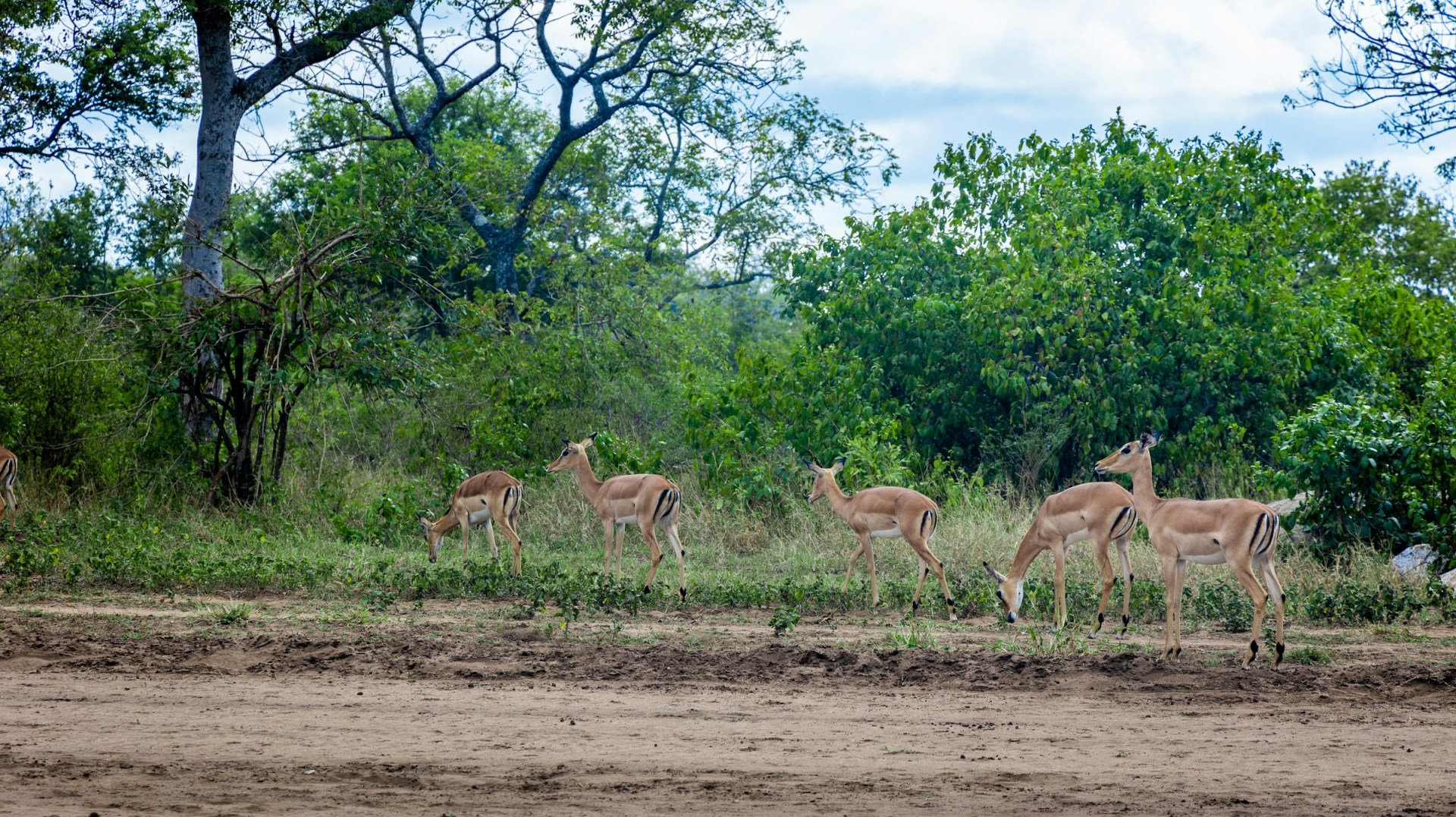  Photo Credit: Photo by Omar Hakeem on Unsplash