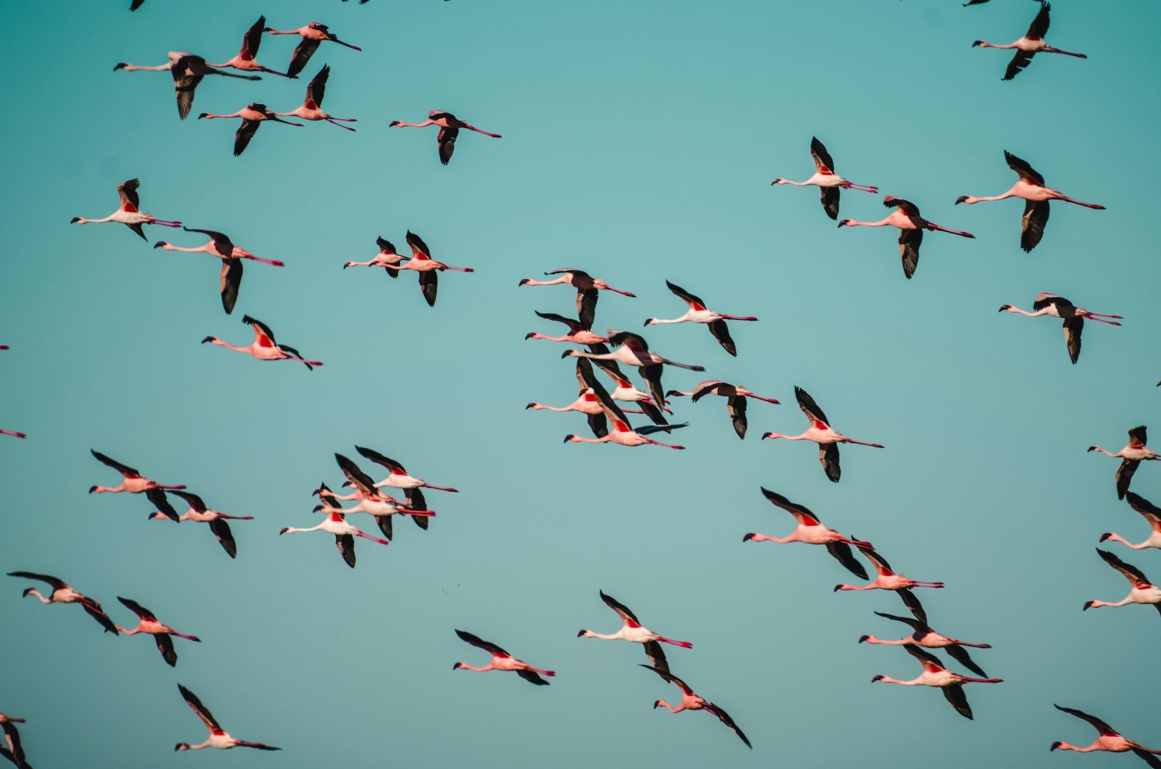  Photo Credit: Photo by Sergi Ferrete on Unsplash