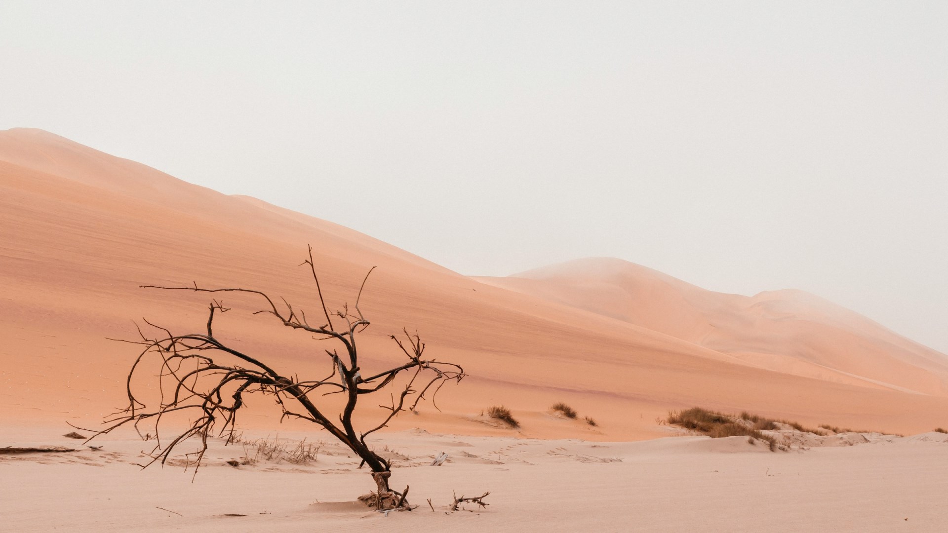  Photo Credit: Photo by Ryan Cheng on Unsplash