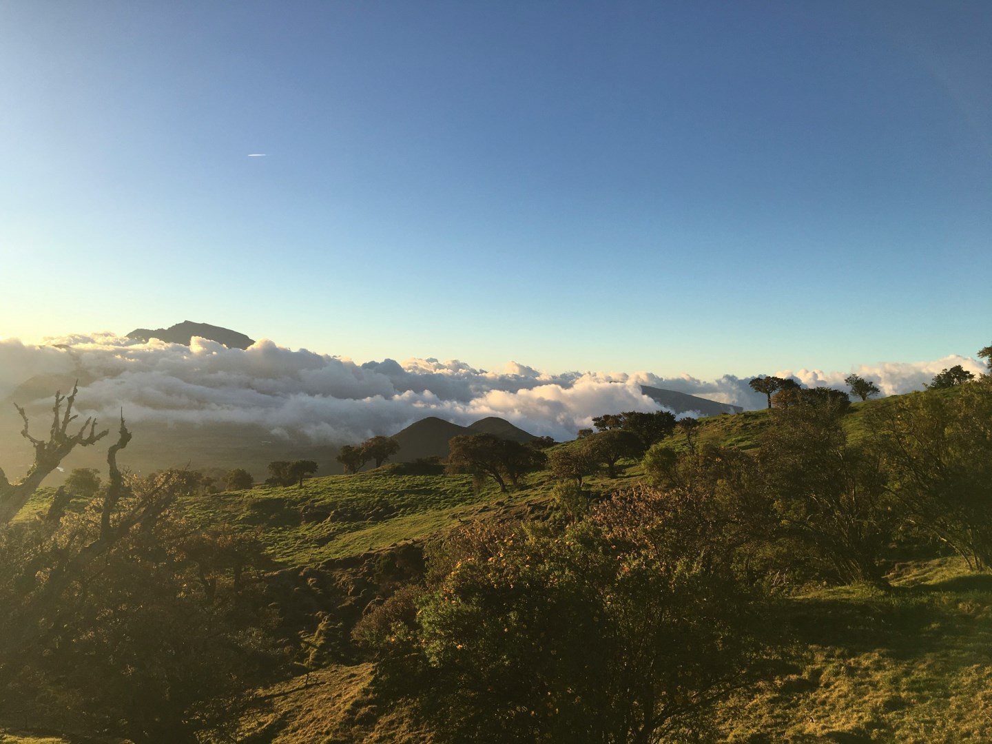  Photo Credit: Photo by Kevin Bunel on Unsplash