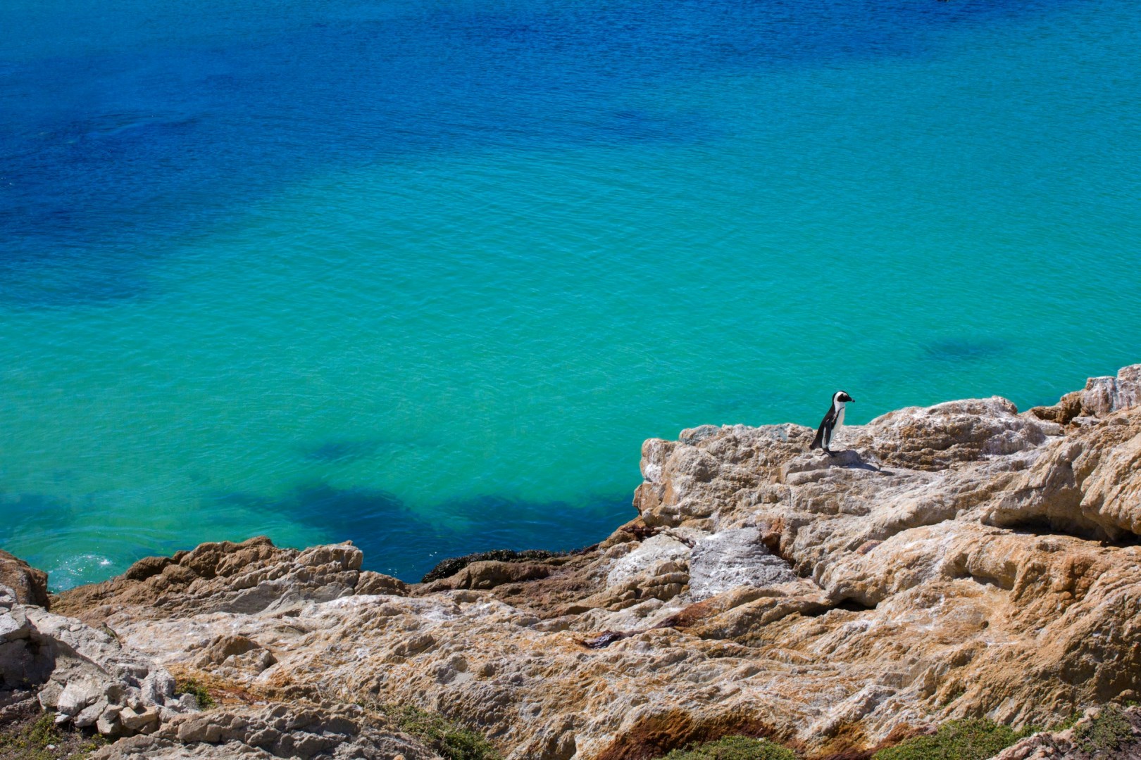 Betty's Bay