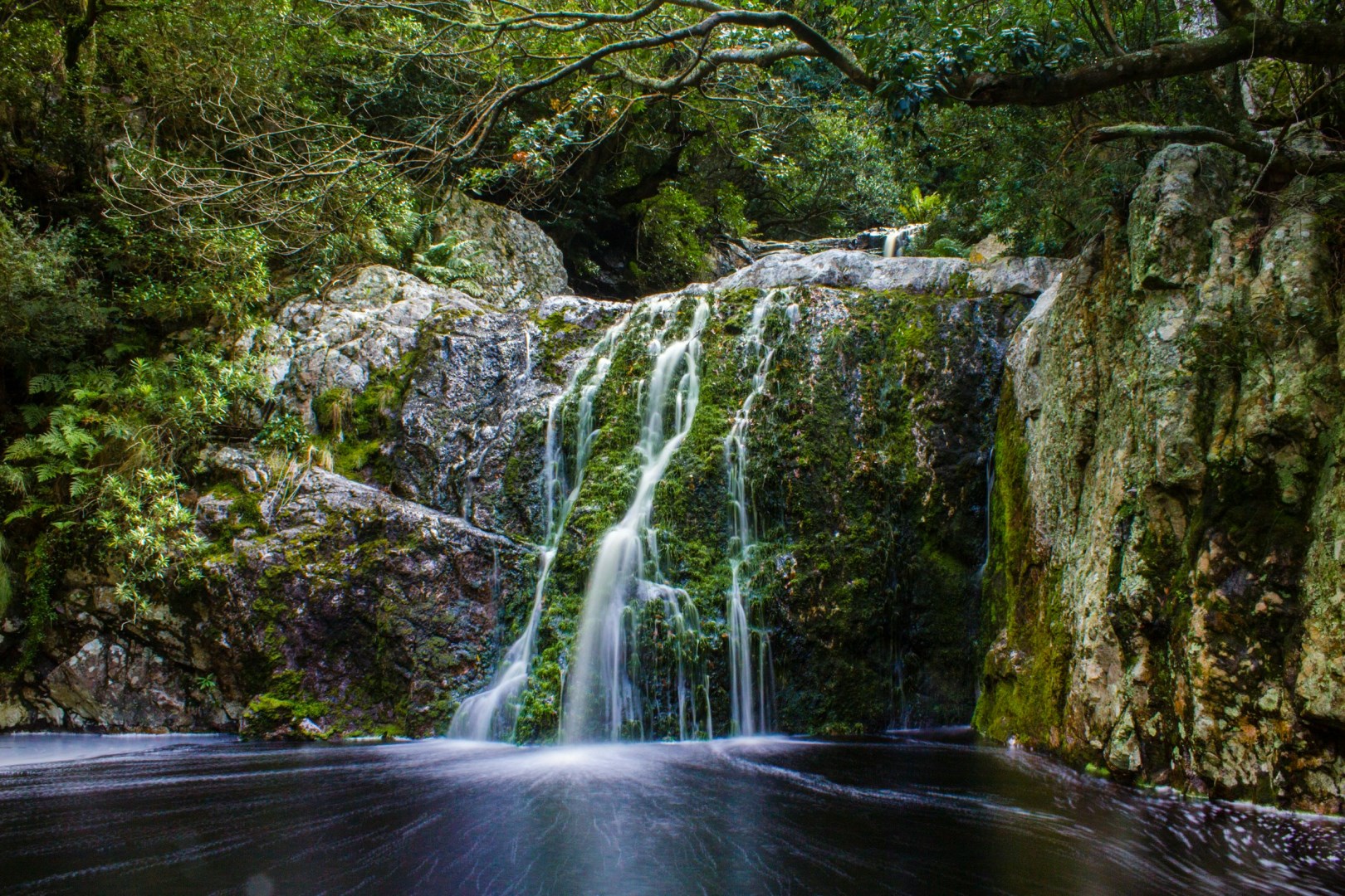 Harold Porter National Botanical Garden - Photo Credit: Photo by Marlin Clark on Unsplash