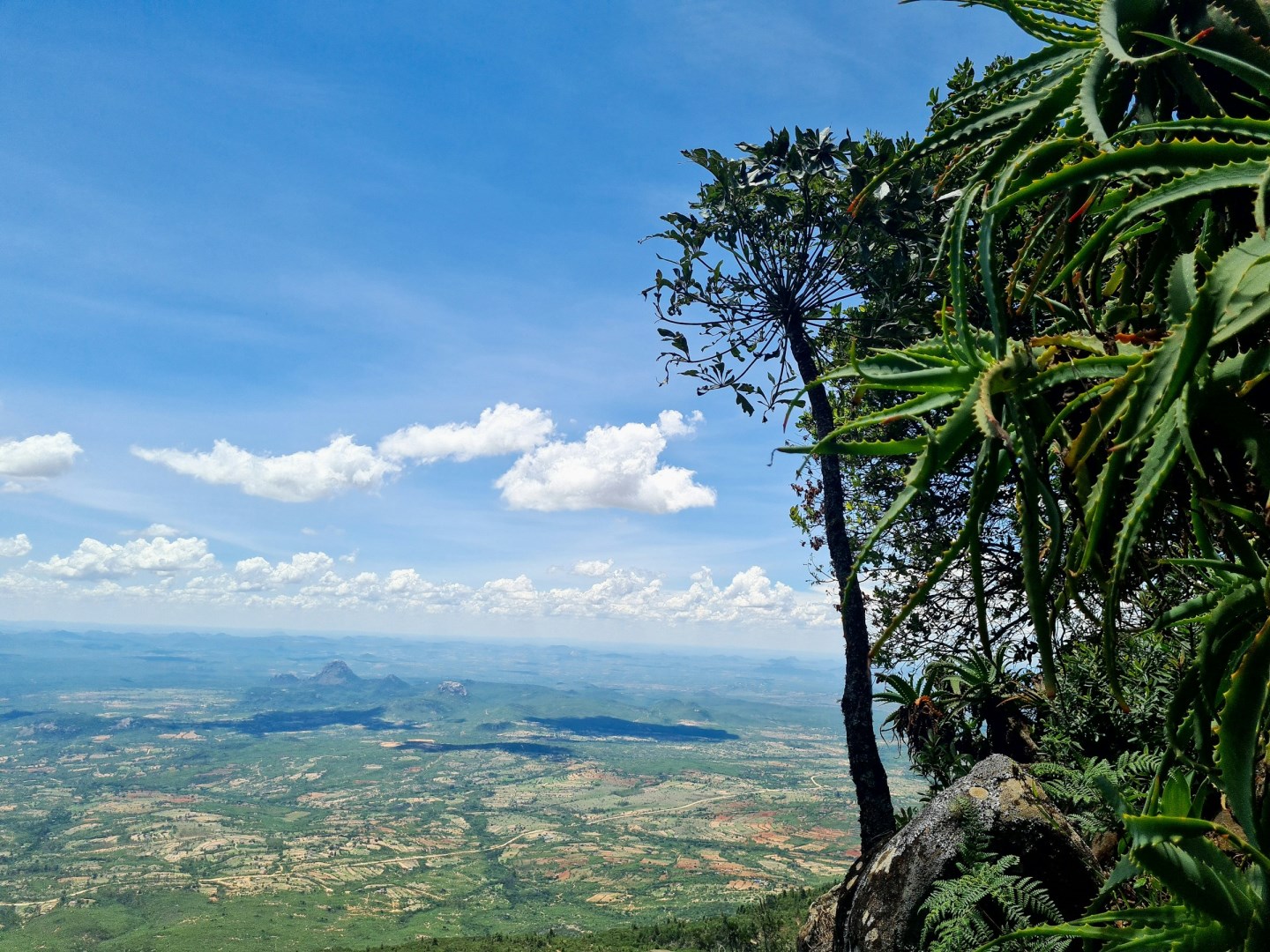  Photo Credit: Photo by Rutendo Petros on Unsplash