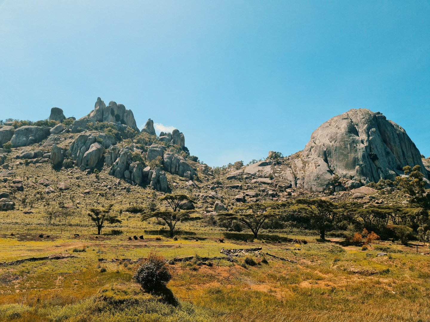  Photo Credit: Photo by Rutendo Petros on Unsplash