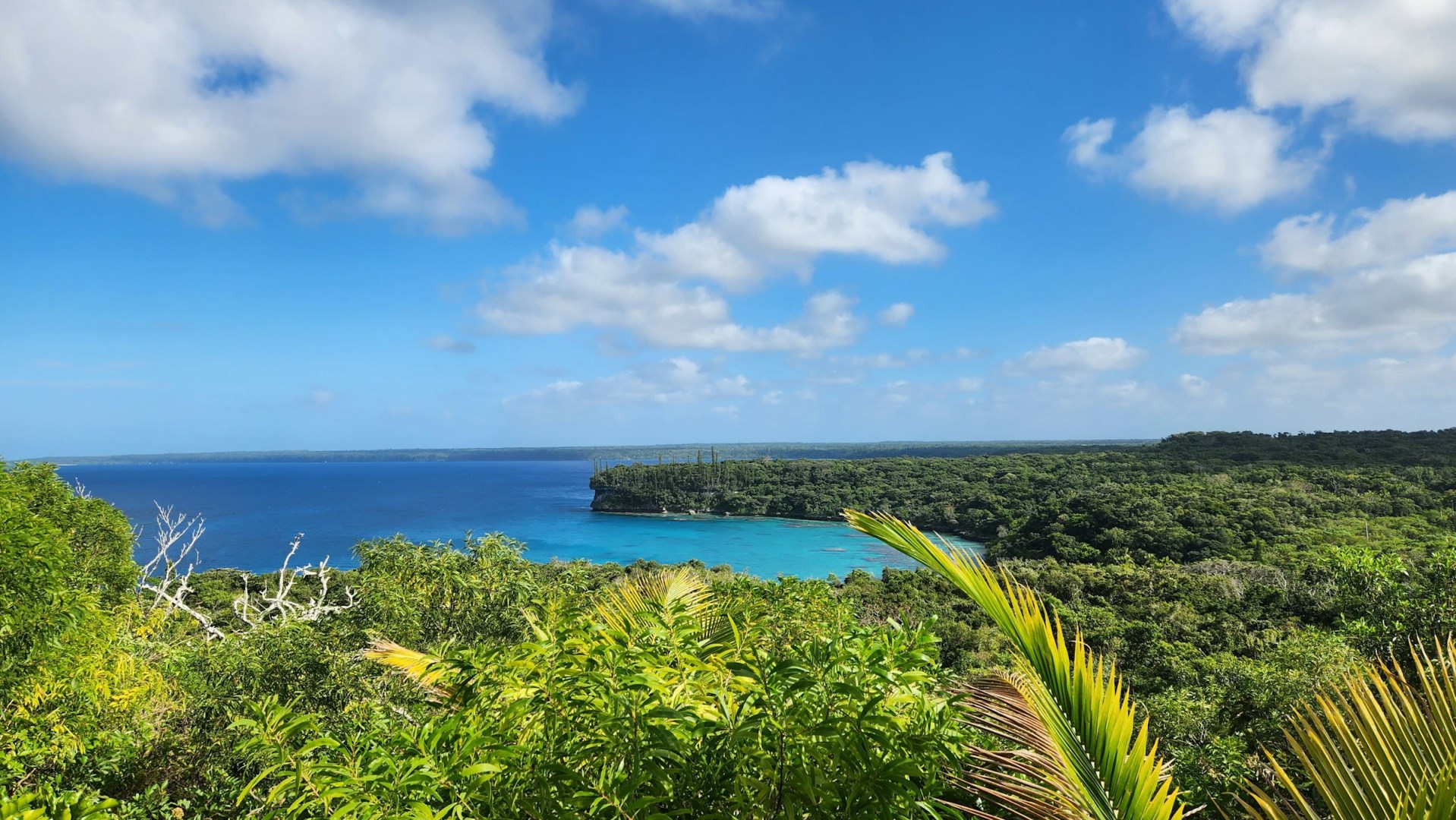 Lifou