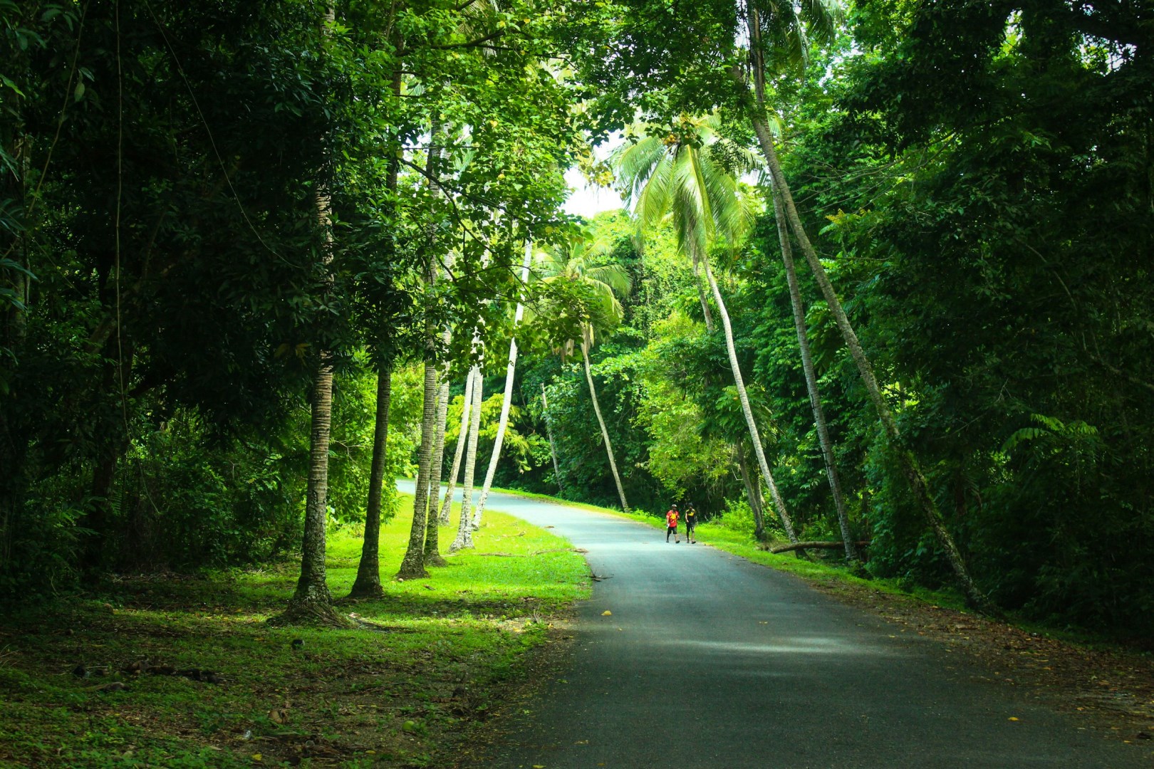  Photo Credit: Photo by Osbourne Wangillen on Unsplash