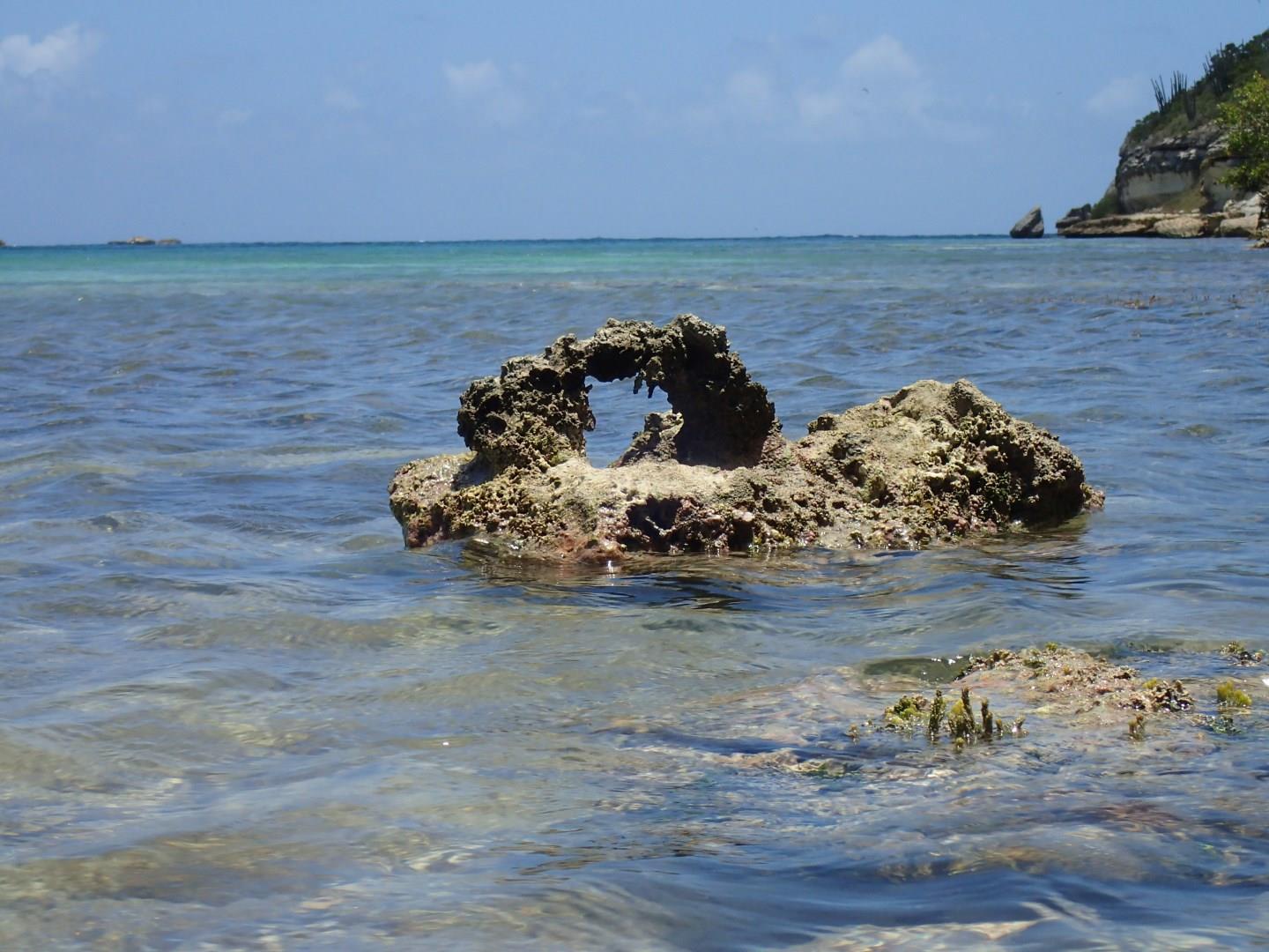 Great Bird Island