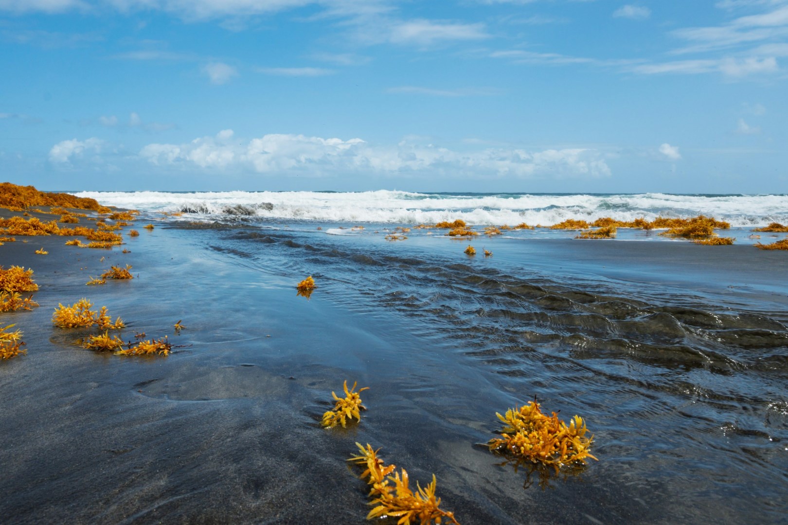  Photo Credit: Photo by Chaofeng on Unsplash