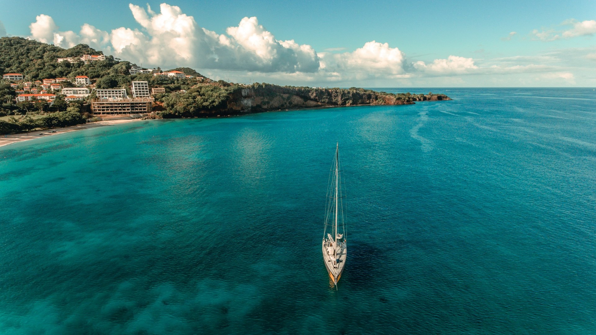  Photo Credit: Photo by Hugh Whyte on Unsplash