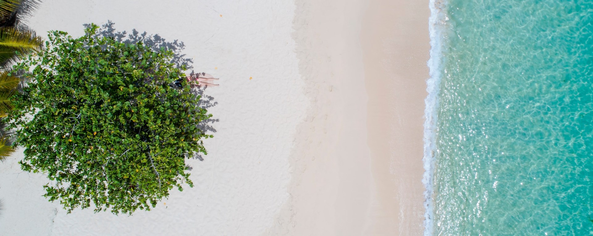  Photo Credit: Photo by Hugh Whyte on Unsplash
