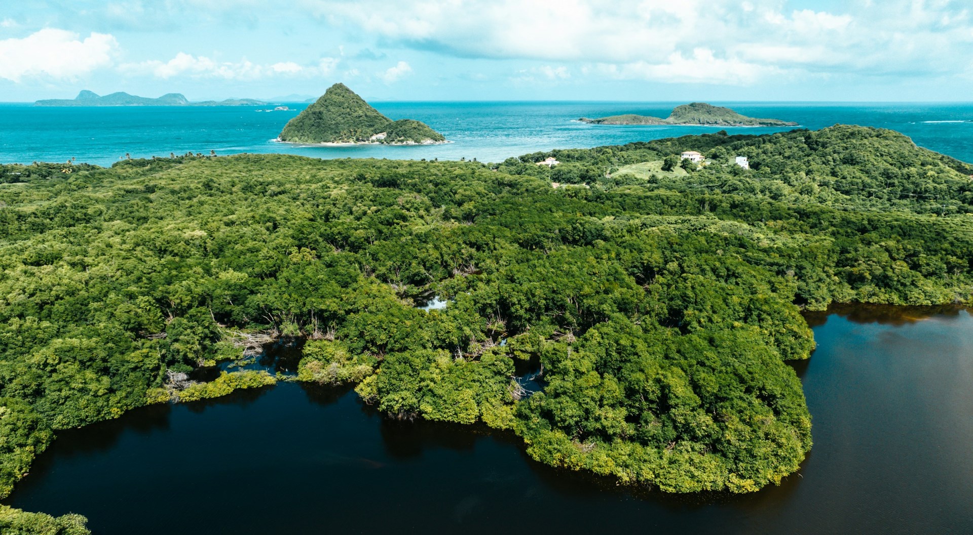 Levera Wetland - Photo Credit: Photo by Hugh Whyte on Unsplash