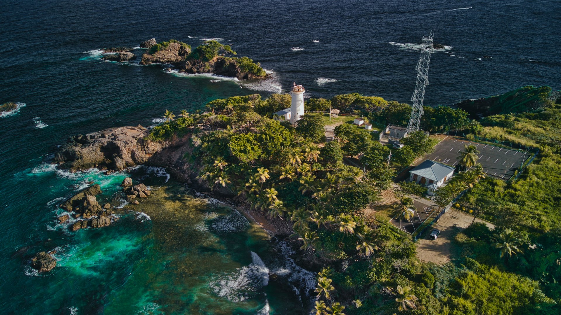  Photo Credit: Photo by Renaldo Matamoro on Unsplash