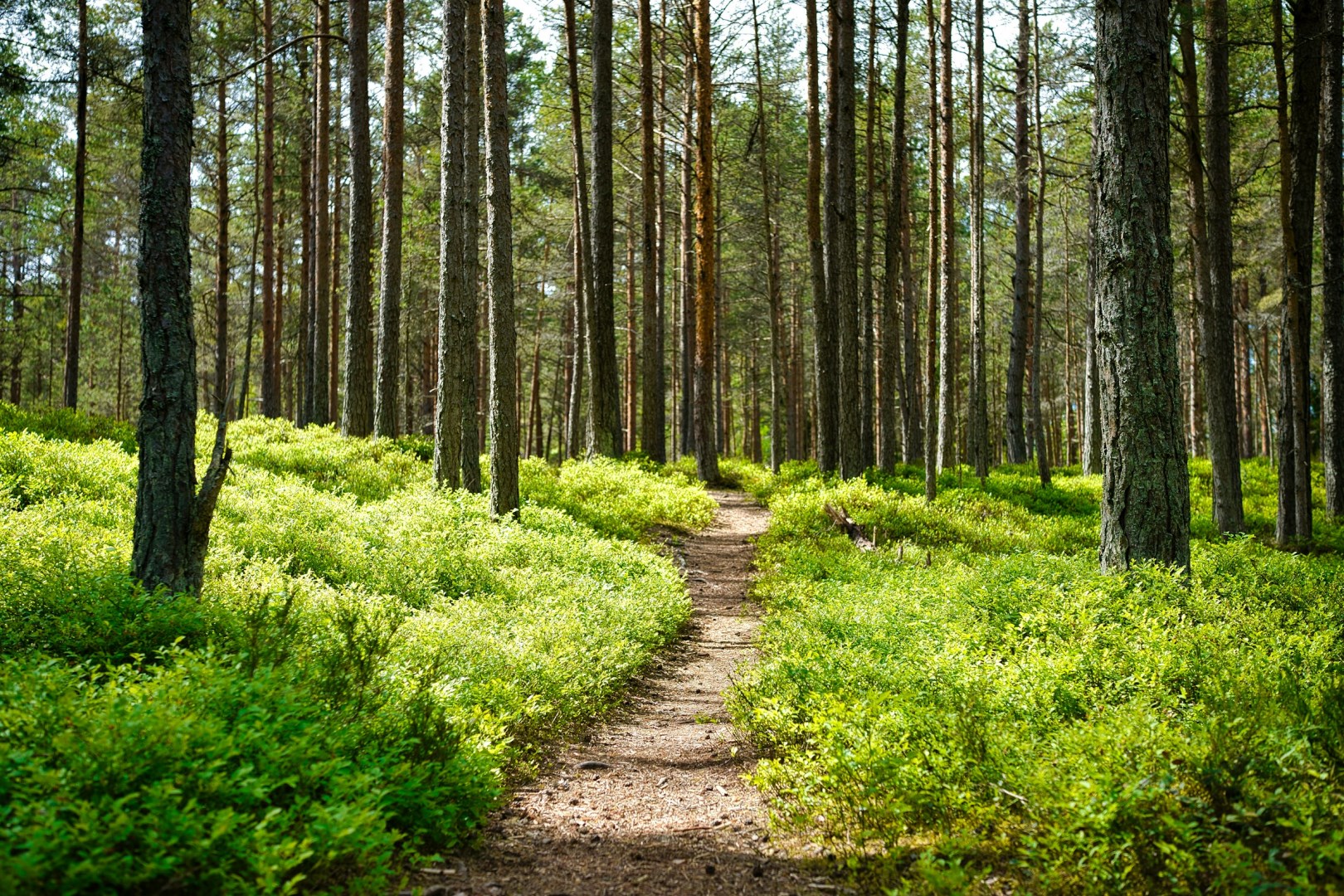  Photo Credit: Photo by Maksim Shutov on Unsplash
