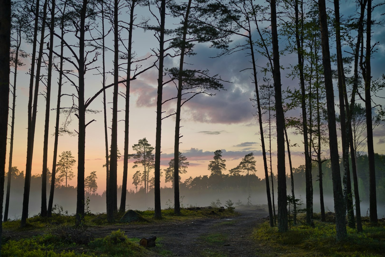  Photo Credit: Photo by Maksim Shutov on Unsplash