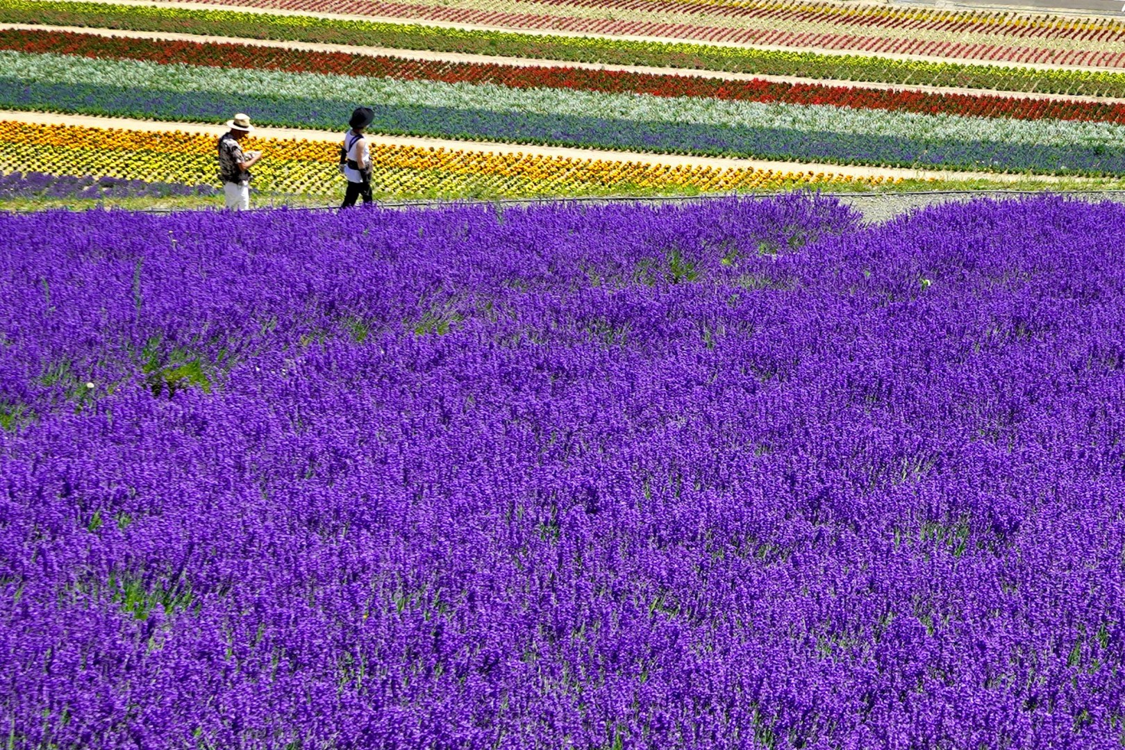 Furano