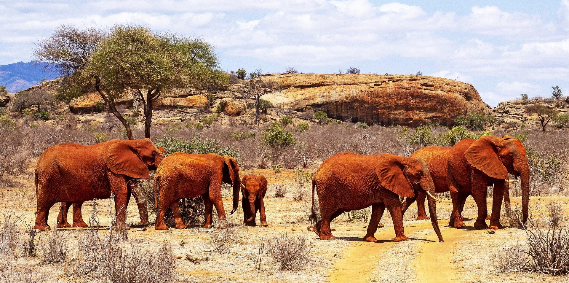 Tsavo East National Park