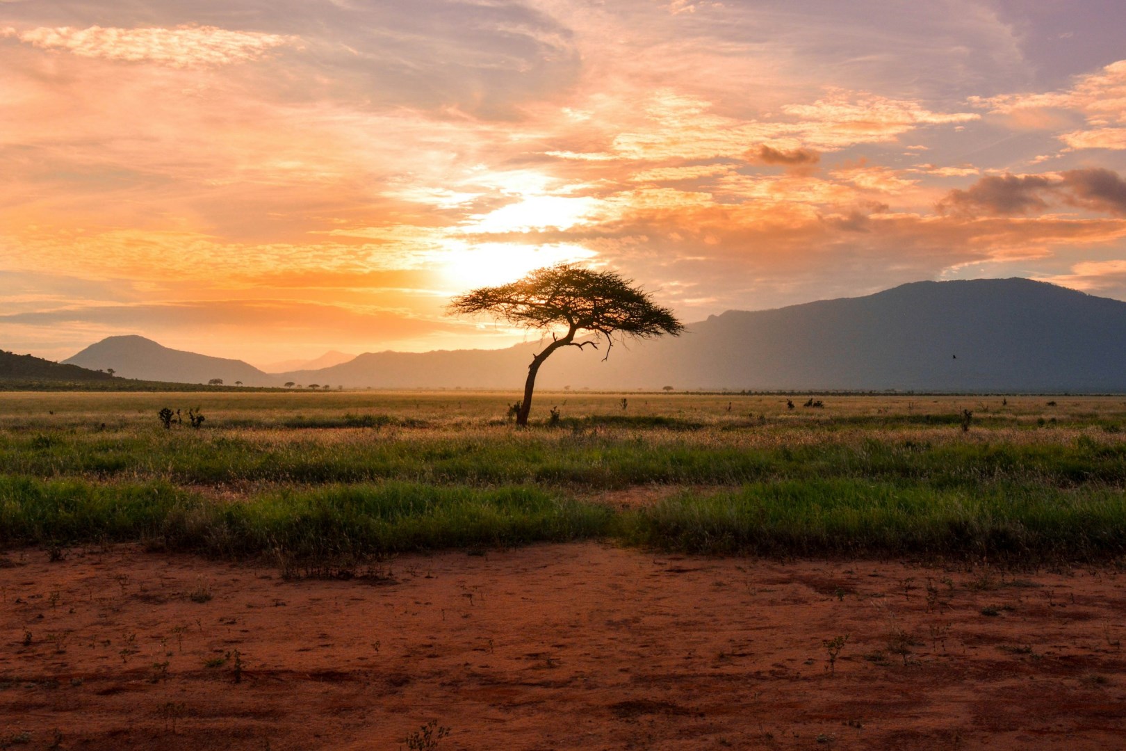  Photo Credit: Photo by Damian Patkowski on Unsplash